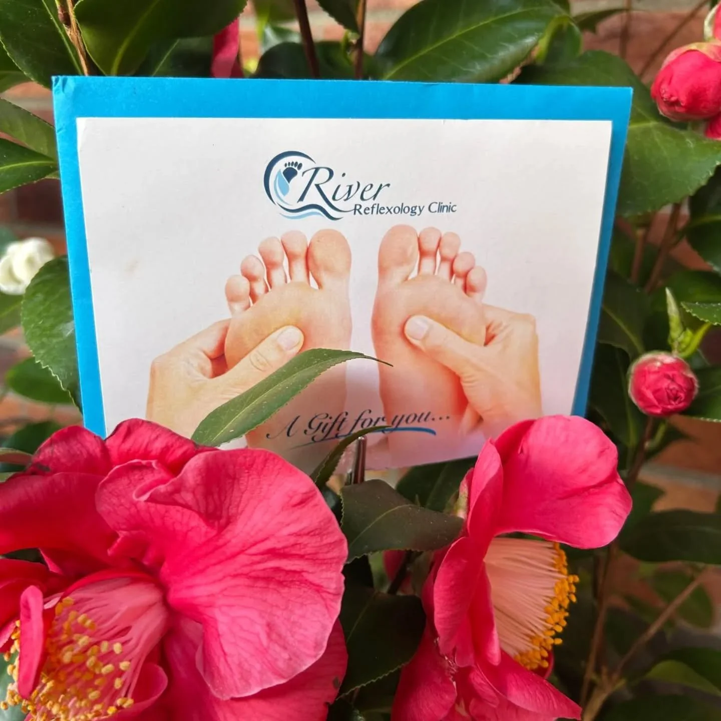 Happy Friday all,

Vouchers for The Very Important Ladies in your life are available on the website:

 www.riverreflexology.ie

If you need any help just DM me.
Wishing you all a wonderful weekend💐🤗

Lorna👣👣