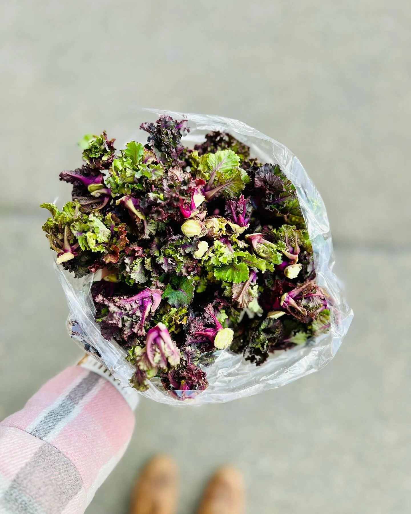 Flower Sprouts🌱
Kohlröschen, wilder Rosenkohl, Kalettes oder Pettikohl.
Viele Namen, ein Gemüse💚
Flower Sprouts ist eine Kreuzung aus Rosenkohl und Grünkohl.
Einfach so als Gemüsebeilage, in einem Pasta OnePot, oder als Chips