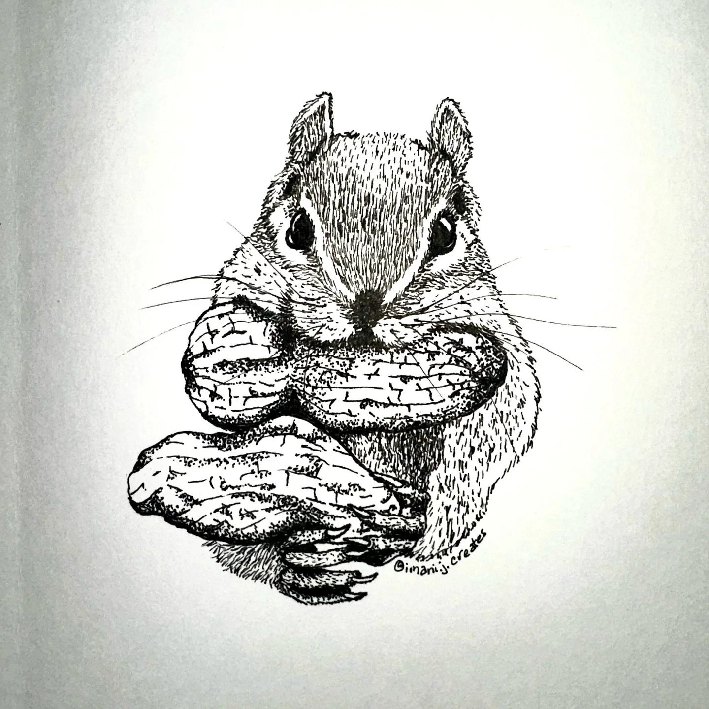 Day11: Snacks 🐿️🥜 @inktober #inktober #inktober2024snacks #inktober2024 #snacks #snacksonsnacksonsnacks #pendrawing #penandink #stippling #dotworkers #chipmonk