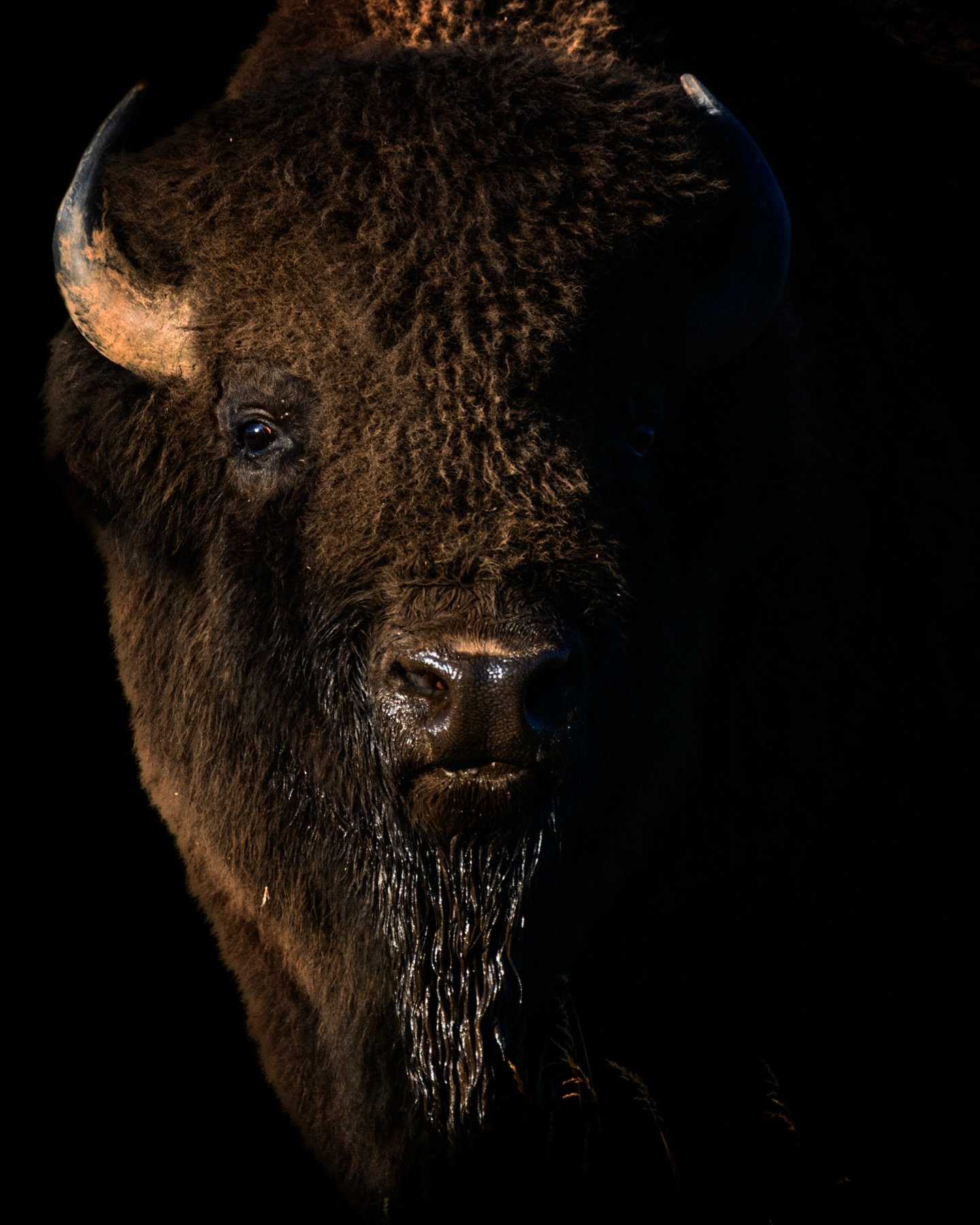 And Still We Beat On - my mother used to say, &ldquo;people come into your life for a reason, a season, or a lifetime.&rdquo; This is true for everything. I was never supposed to live in Yellowstone. Ever. Never ever ever! It was never on my radar an