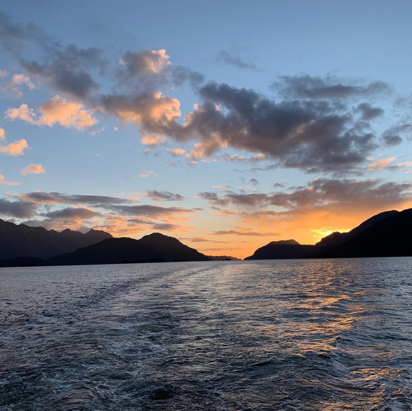 Spaces available for our overnight cruise on Thursday 12th November. Contact us for more details 0508888656, thanks #doubtfulsound #fiordland #overnight #bluecod #crayfish #yourbackyard #teanau