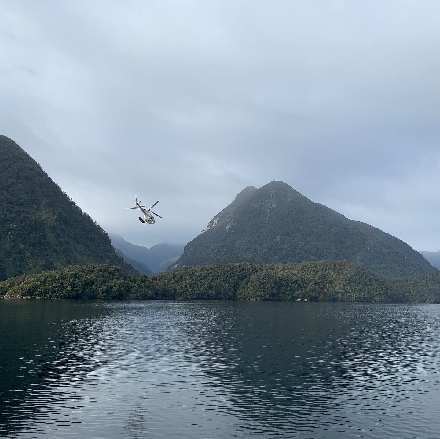 Another group of happy travellers exploring our backyard , some even chose to view the splendour of Fiordland from above by opting to fly out by helicopter.#teanauhelicopterservices #overnight #fiordland #doutbfulsound #teanau #letsgoteanau #travltip