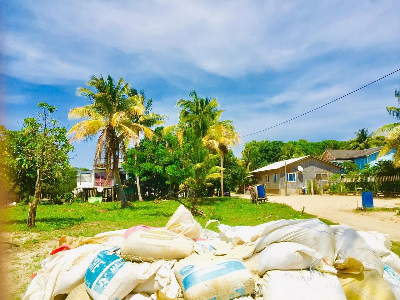 Tragedy and Speculation in Honduras