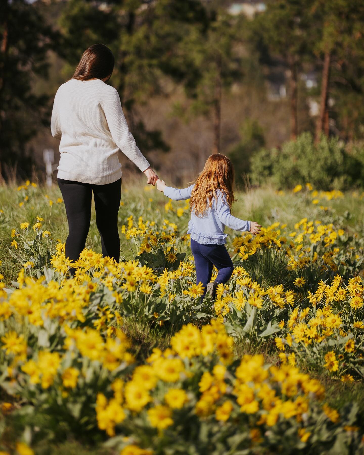 Can we just go back to playing in the sunshine and these amazing yellow flowers!?

#springphotography #kelownafamilyphotographer #kelownafamilyphotography