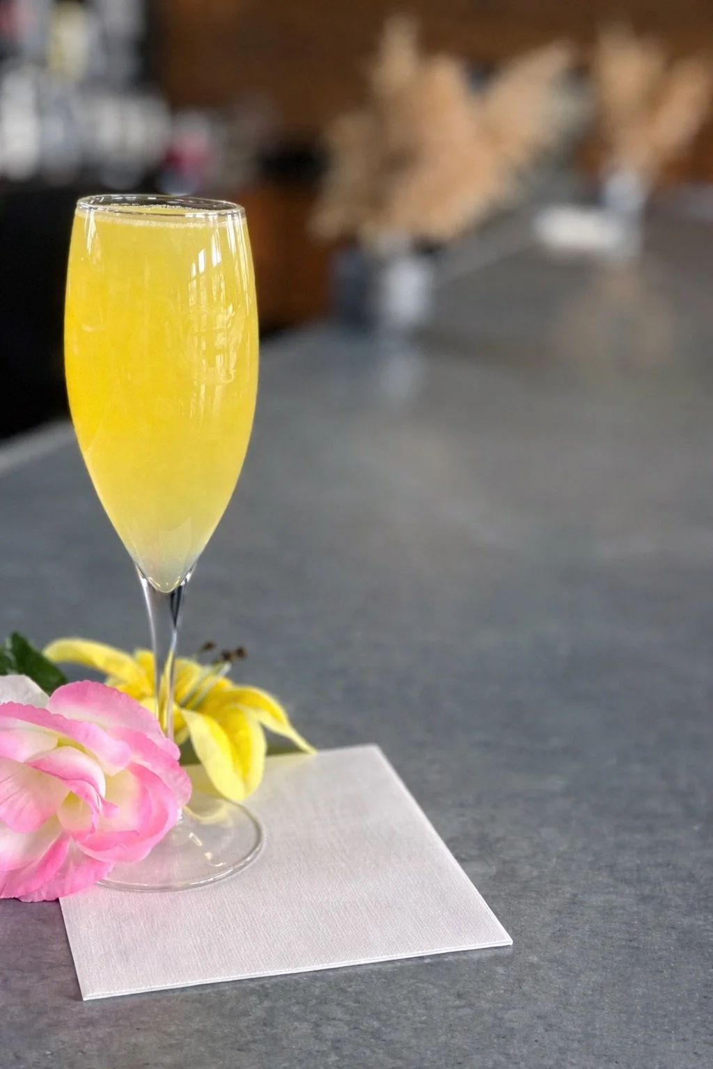 mimosa.jpg