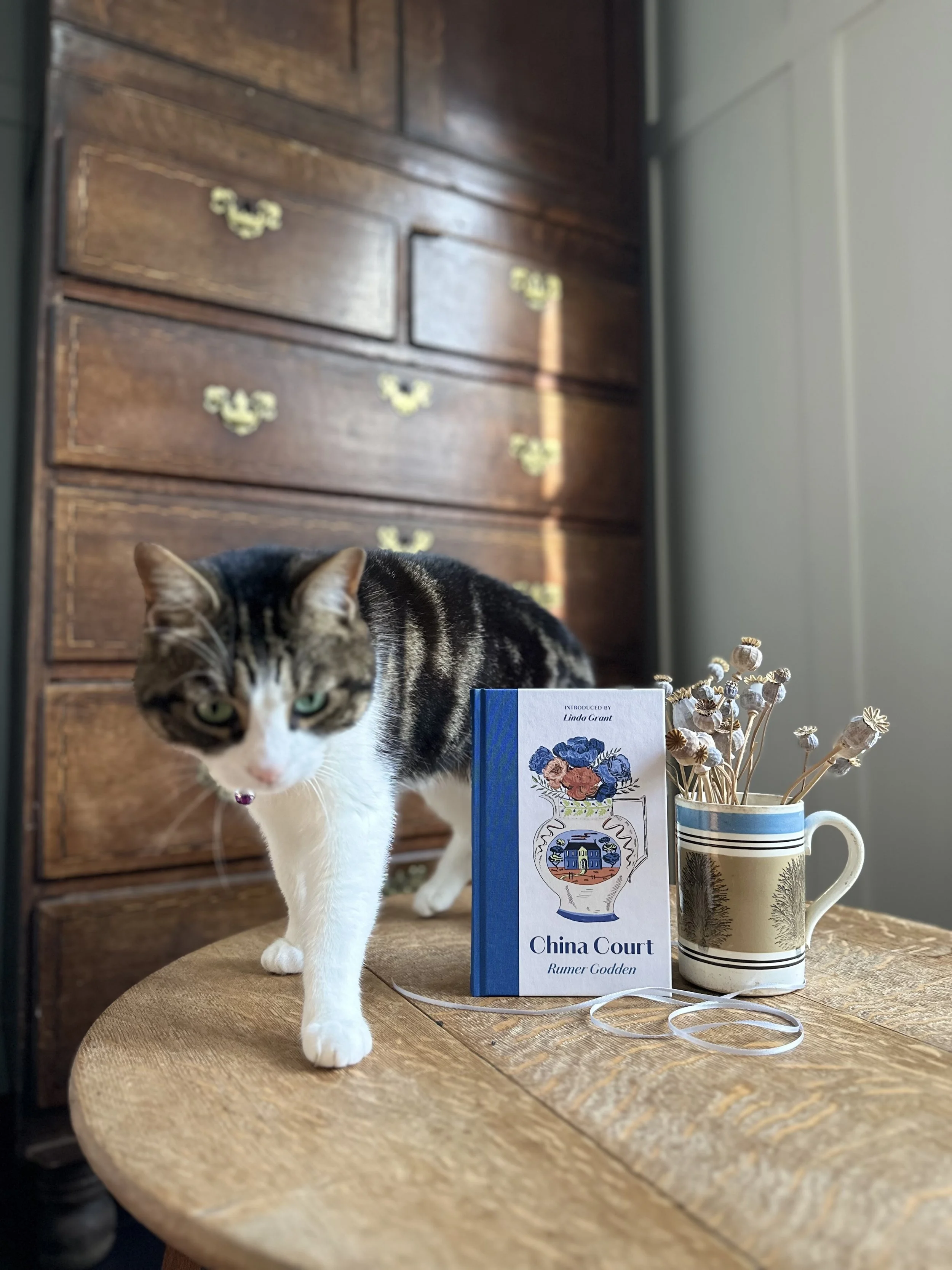 China Court by Rumer Godden, a brand new Manderley Press edition, introduced by Linda Grant and illustrated by Emily Maude