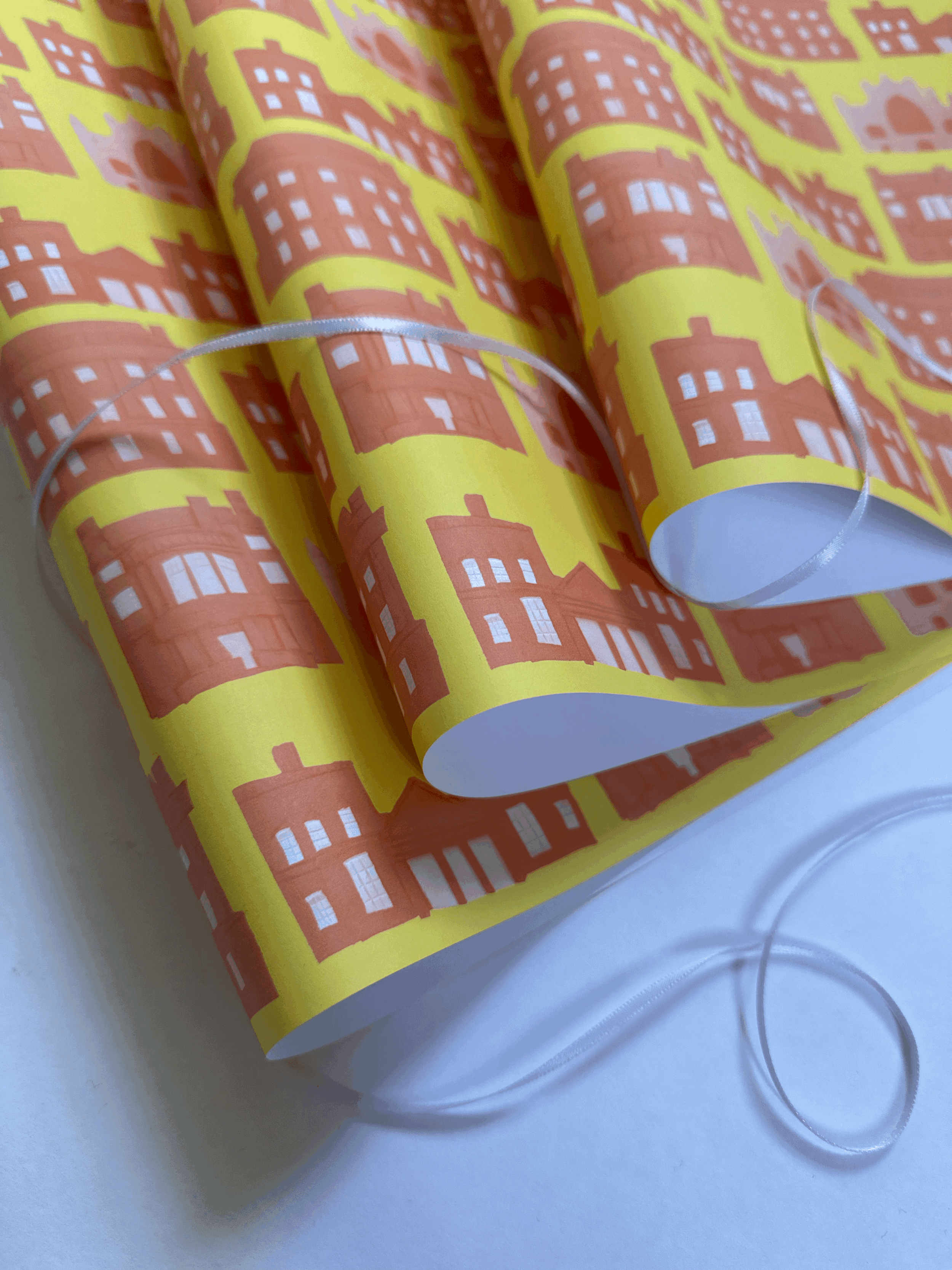 Exclusive gift wrap featuring a design by Eleanor Macnair from the brand new Manderley Press edition of Mary Shelley in Bath