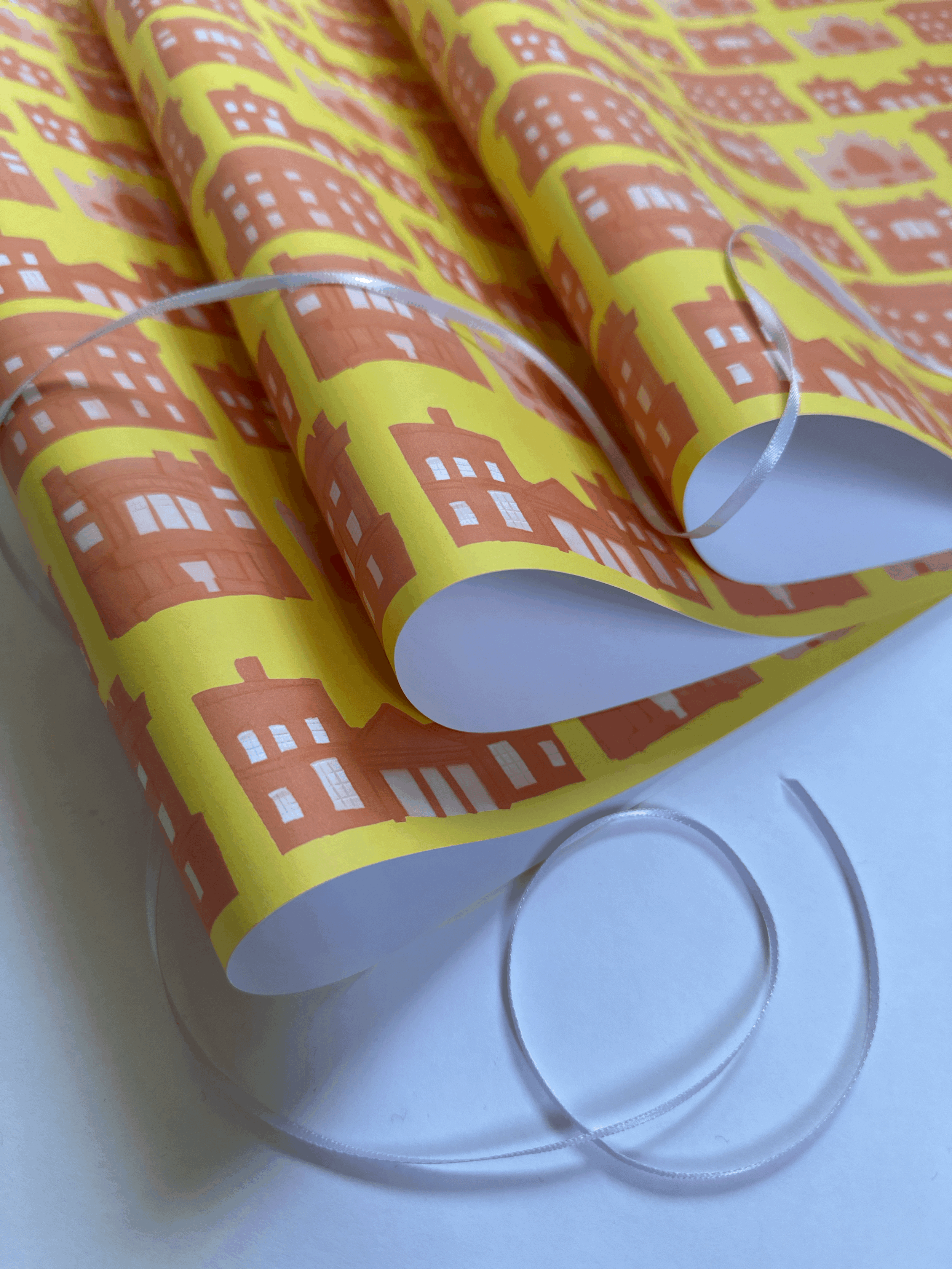 Gift wrap | Mary Shelley in Bath