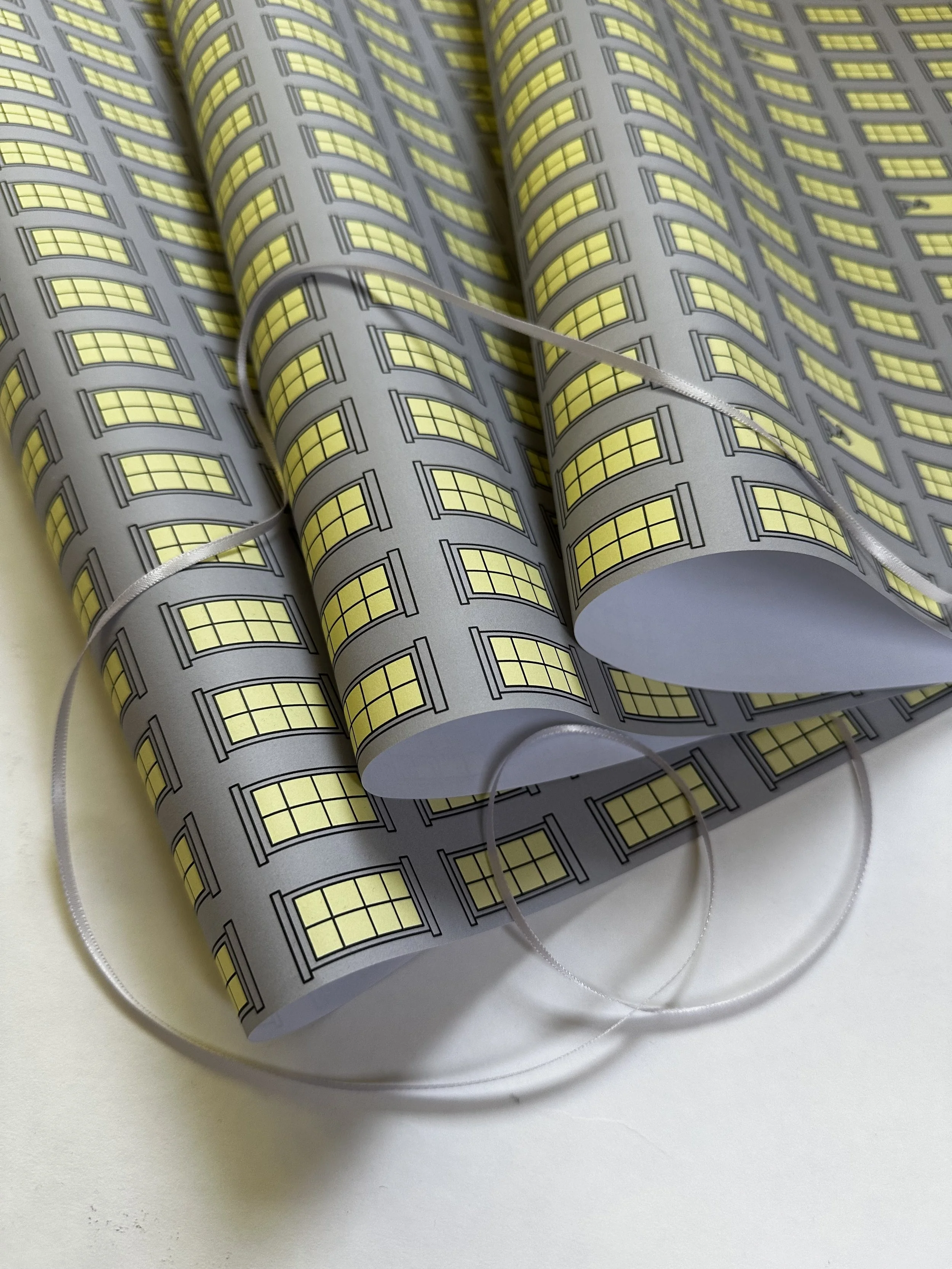 Washington Square by Henry James, introduced by Colm Tóibín and illustrated by Rose Wong, A Manderley Press edition 2025