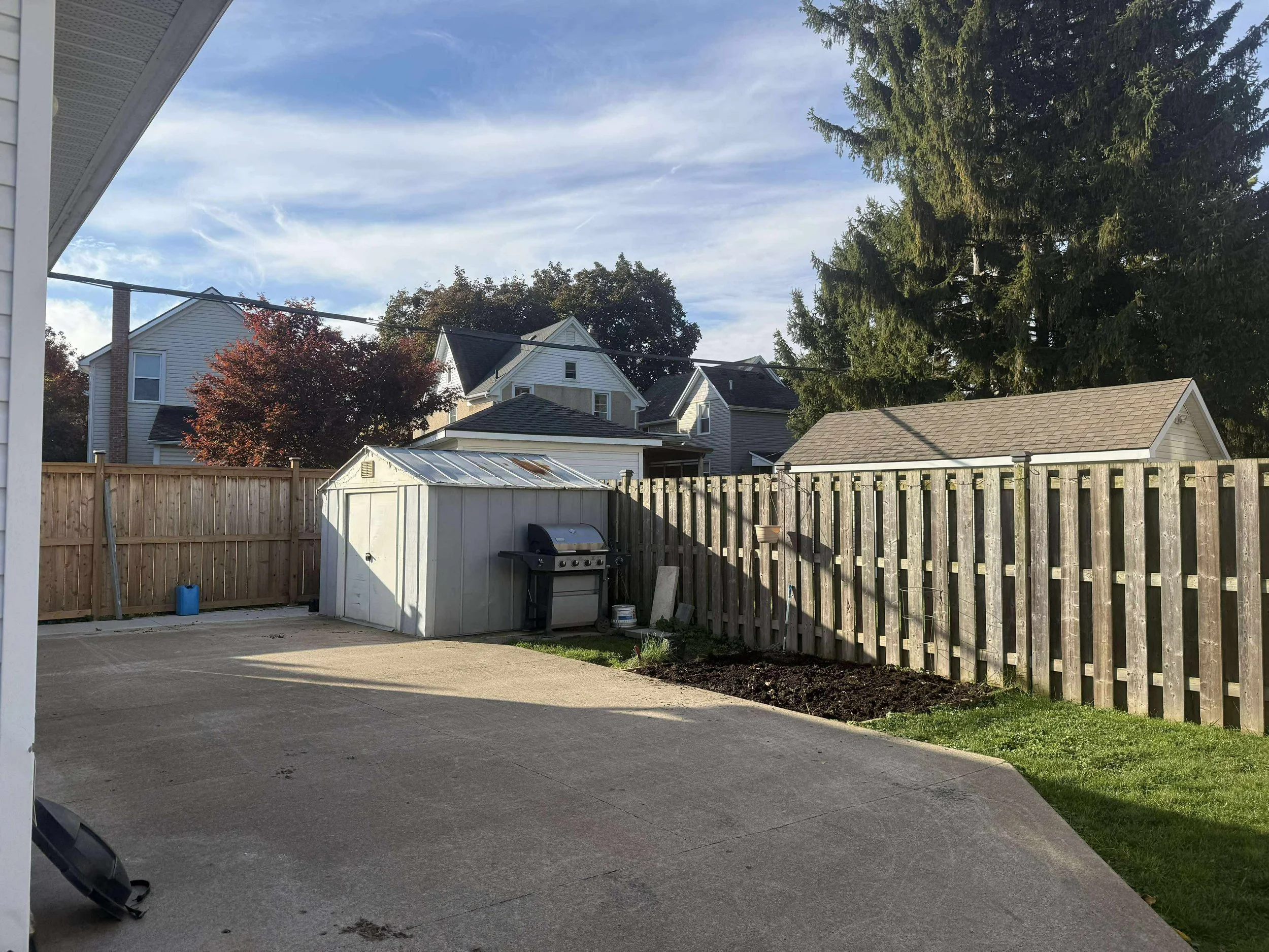 Backyard.jpg