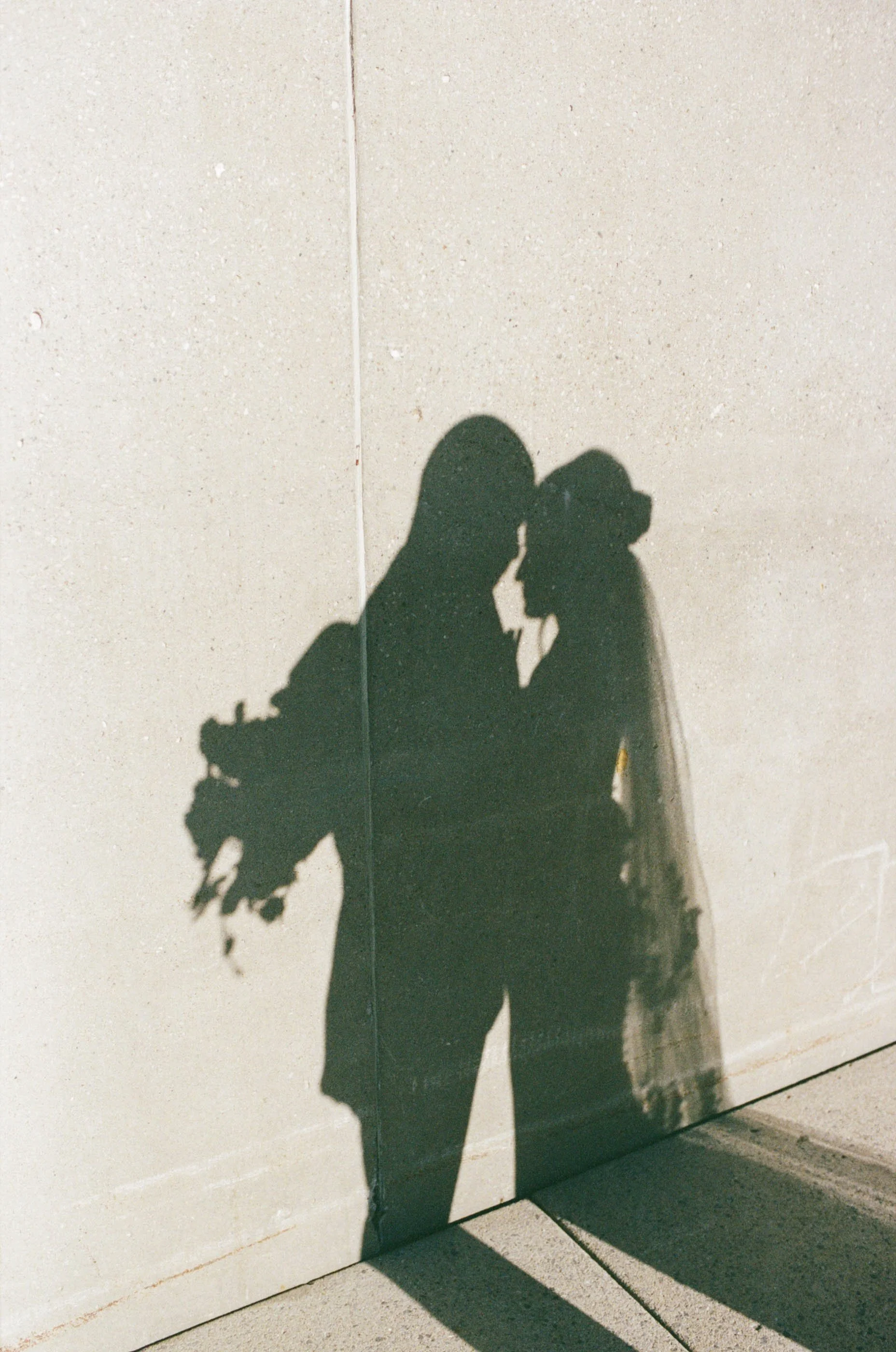 WhitneyErinSmith_Toronto_photographer_wedding_weddingphotographer_engagmentshoot_-95.jpg