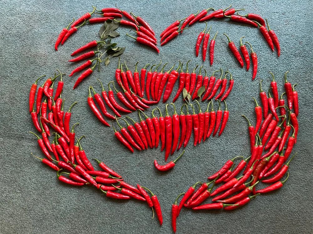 korean hong gochu.jpg