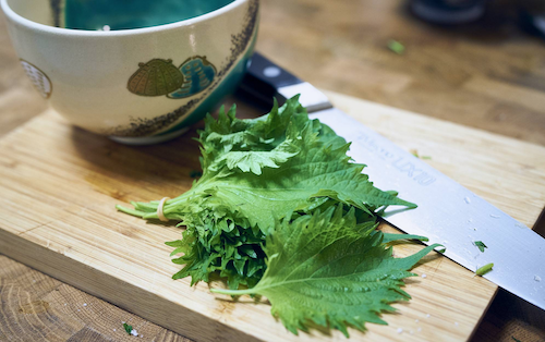 Shiso, Green