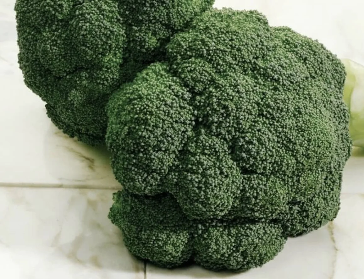 Imperial broccoli.jpg