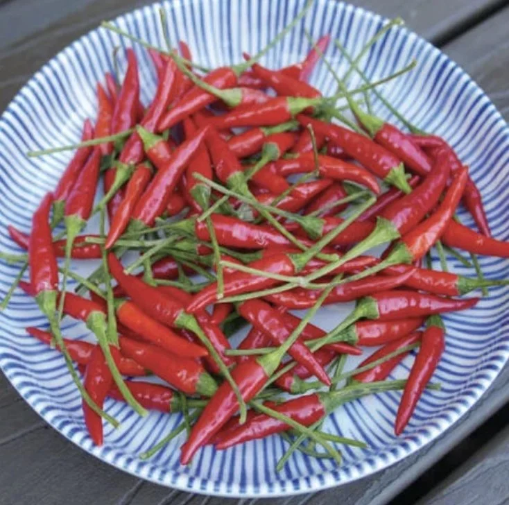 Thai, Red Chilli