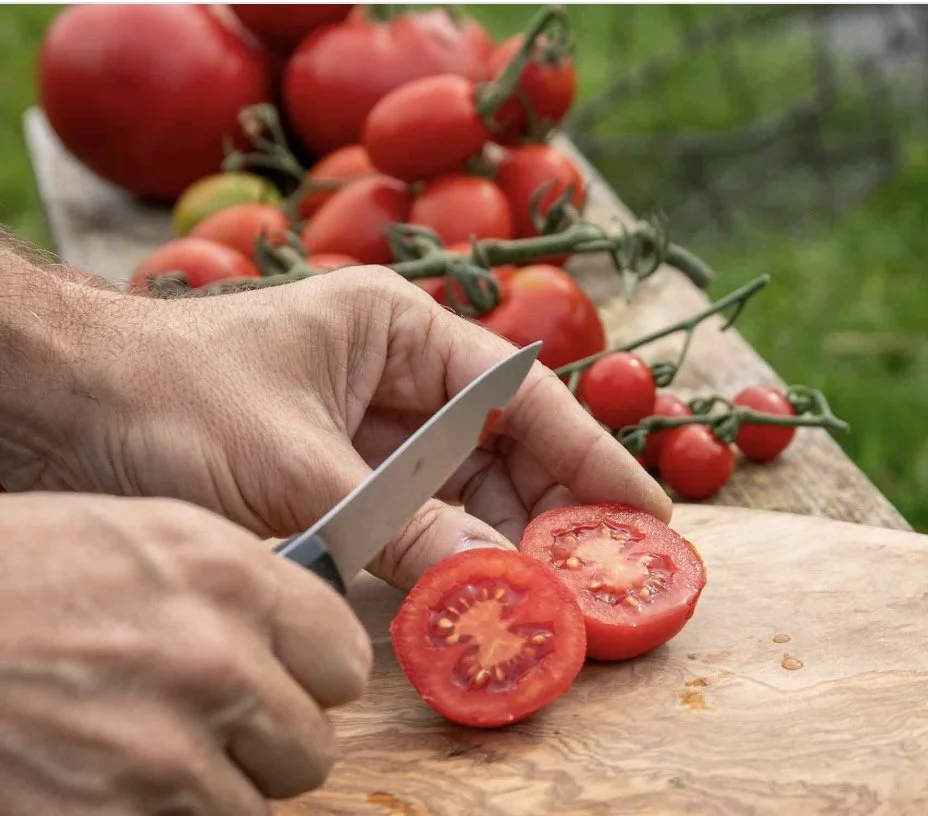 premio tomato sliced.jpg