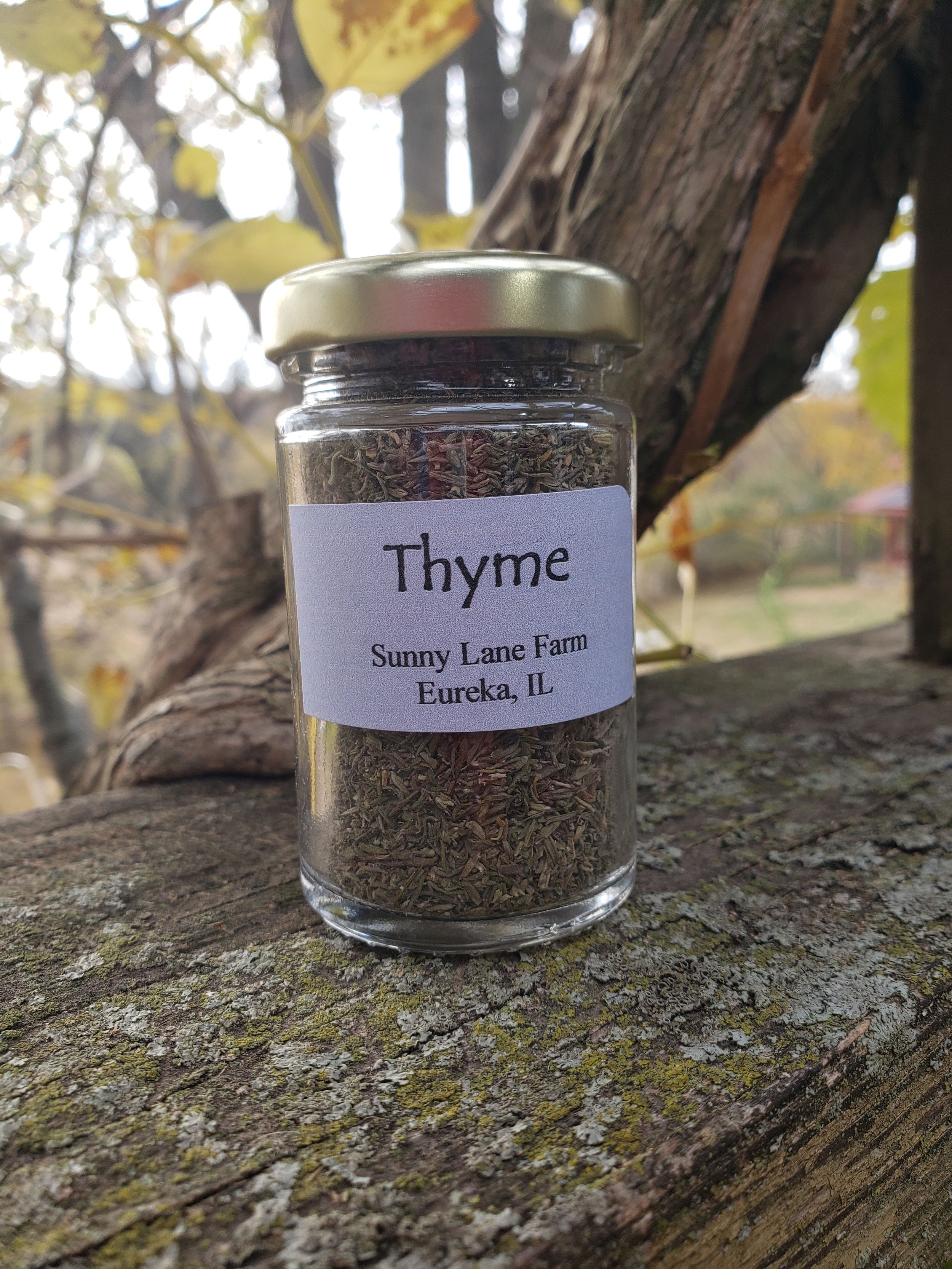 thyme dry.jpg