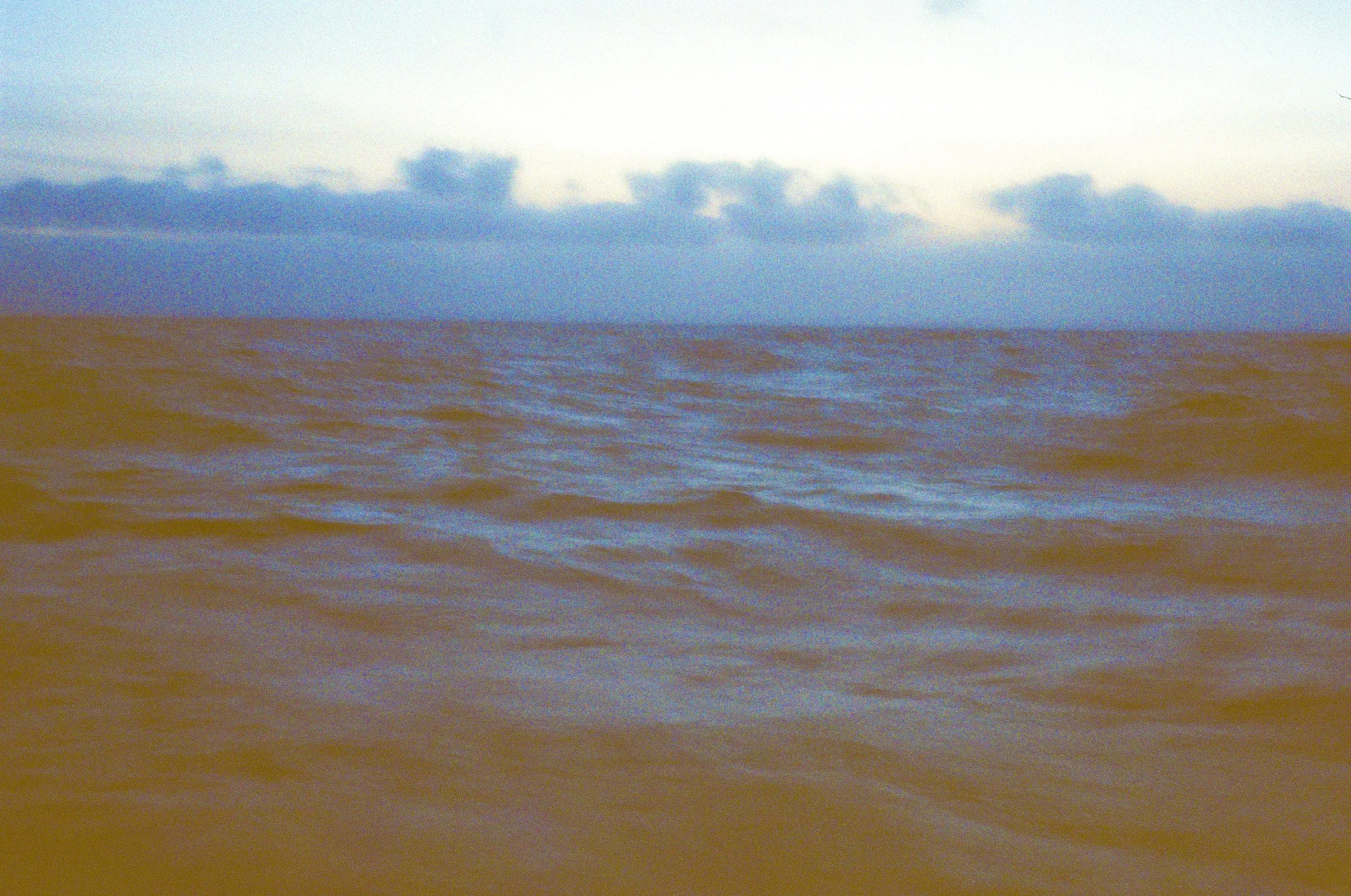 ScanImage156218 3.jpg