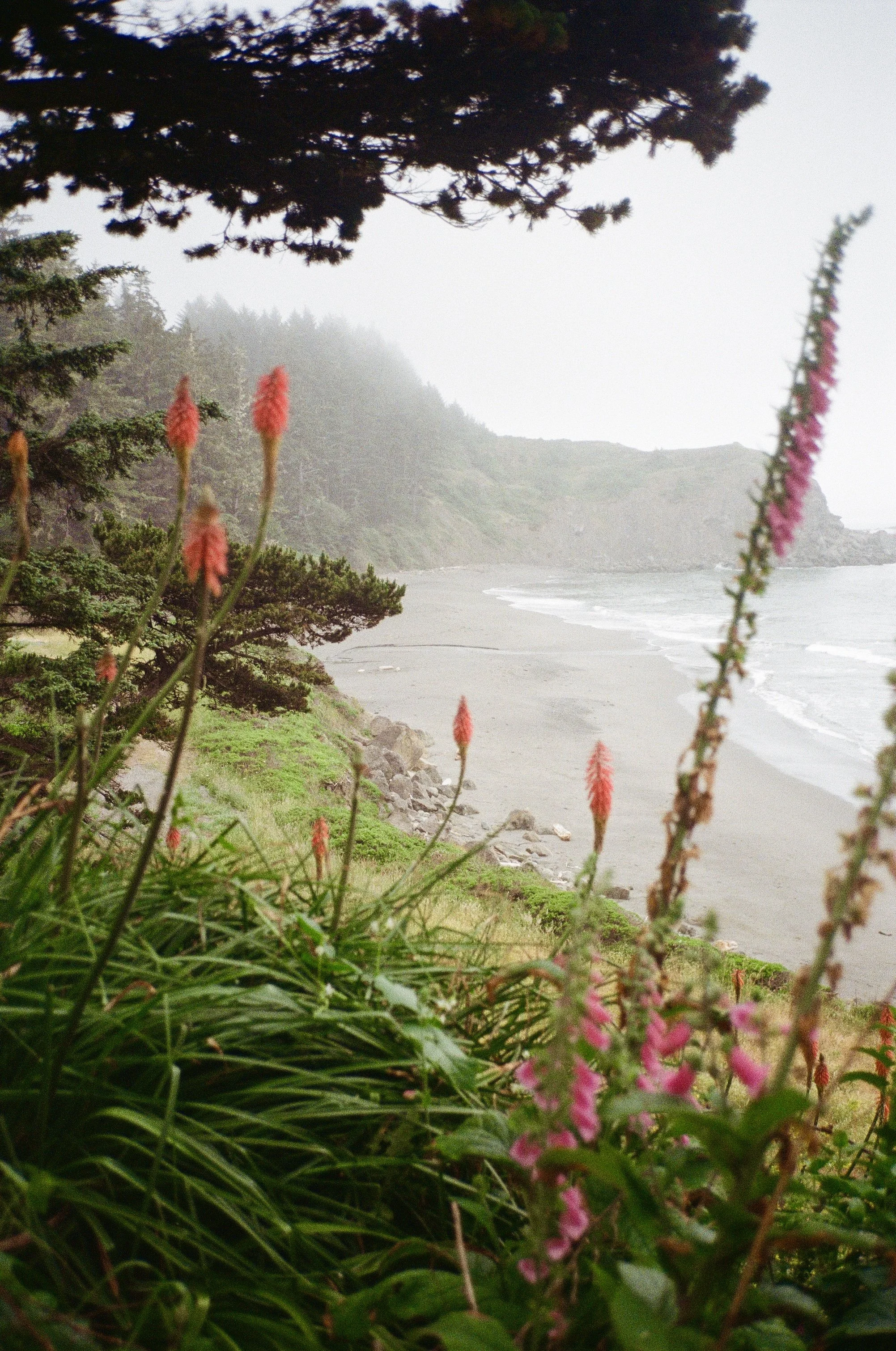 ScanImage156199 3.jpg