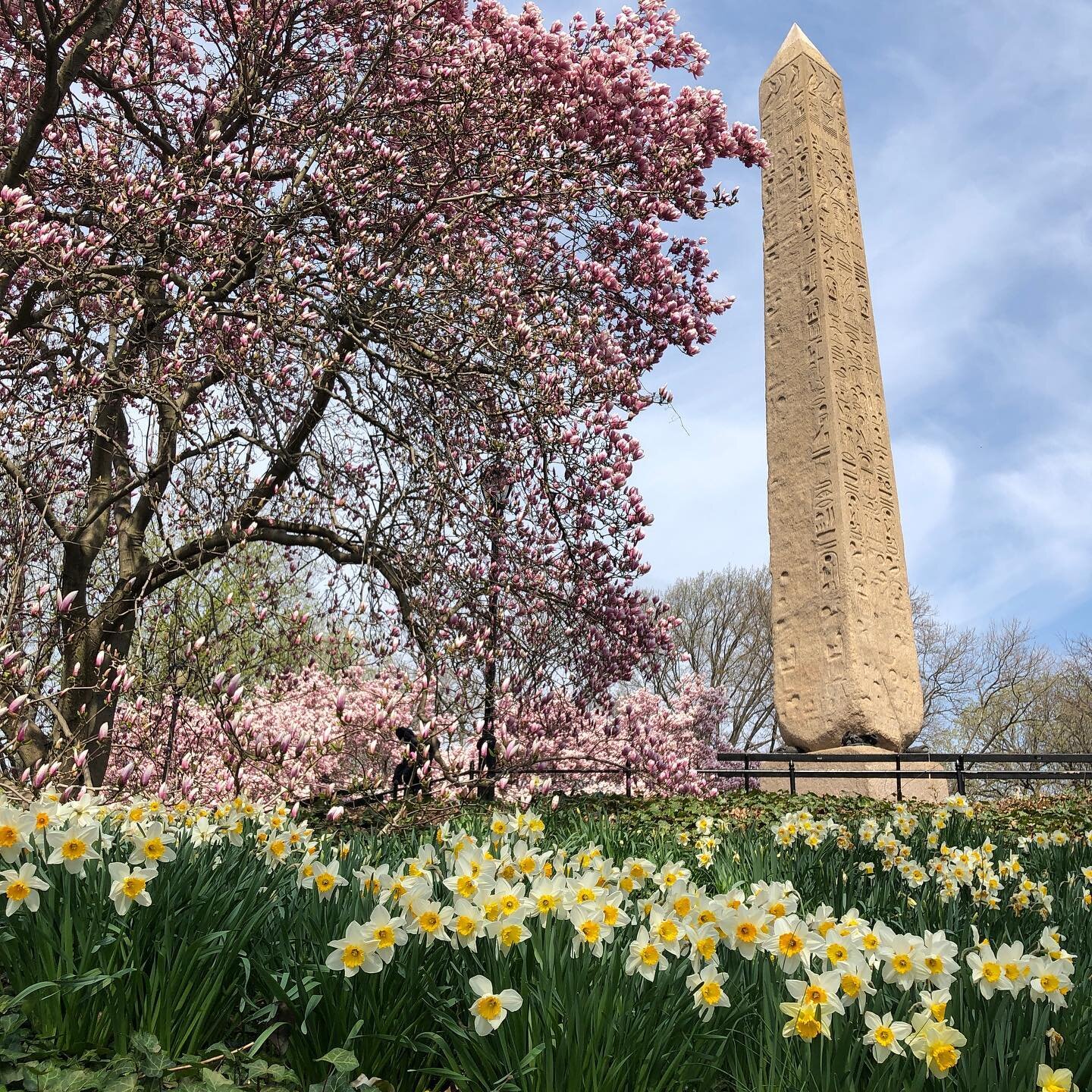 Spring in @centralparknyc will never get old. Speaking of old... this is NYC&rsquo;s oldest human made object! 
#nyc #spring #centralpark #cleopatrasneedle #nycruns #newyorksnewyork