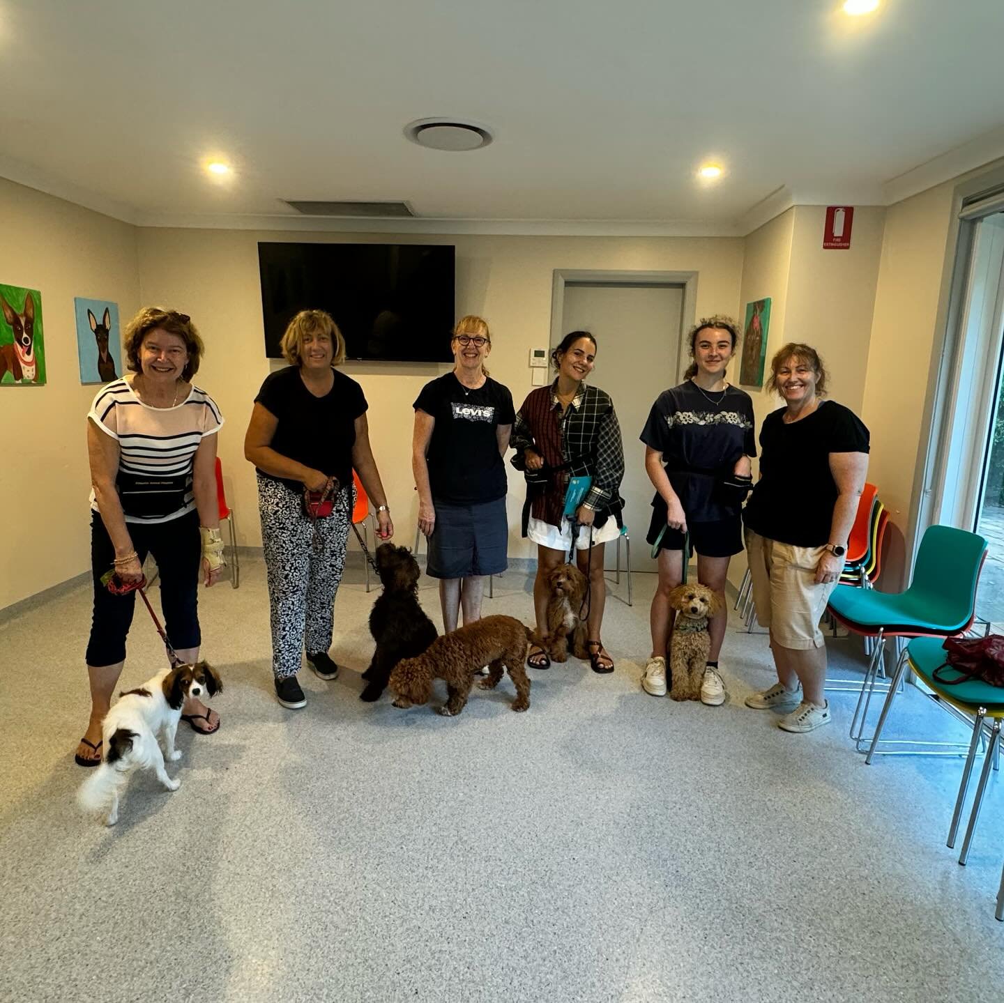 March/April Senior Puppy Class grads (missing a couple who were away) - two brilliant groups who put huge efforts into their training - loved seeing many puppy grads returning to class and growing rapidly into teenagers 🤩

Next senior puppy classes 
