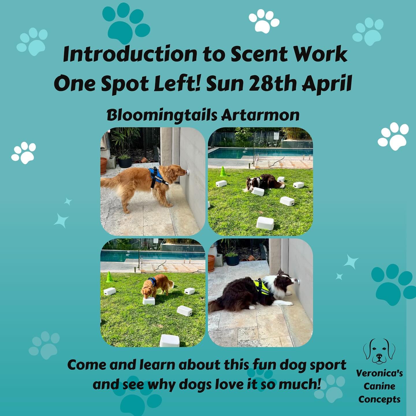Booking are open for April/May classes with limited spots remaining!

28th April at @bloomingtails_dog_grooming Artarmon Introduction to Scentwork (foundations class) 1 spot left

Tues 7th May at @pittwateranimalhospital Follow-on Scentwork class (if