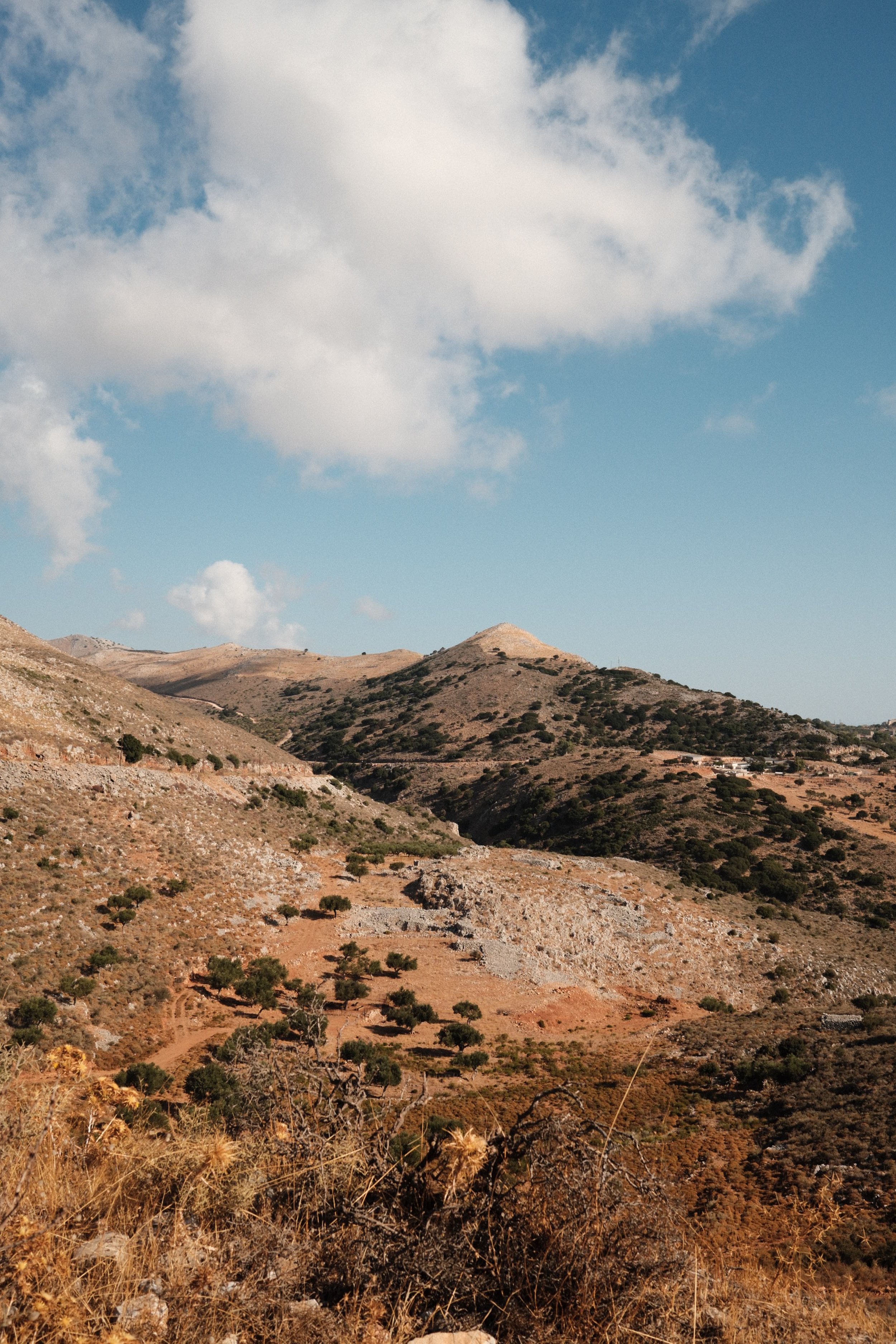 Arid mountain landscape with sparse vegetation and scattered trees under a partly cloudy sky.
