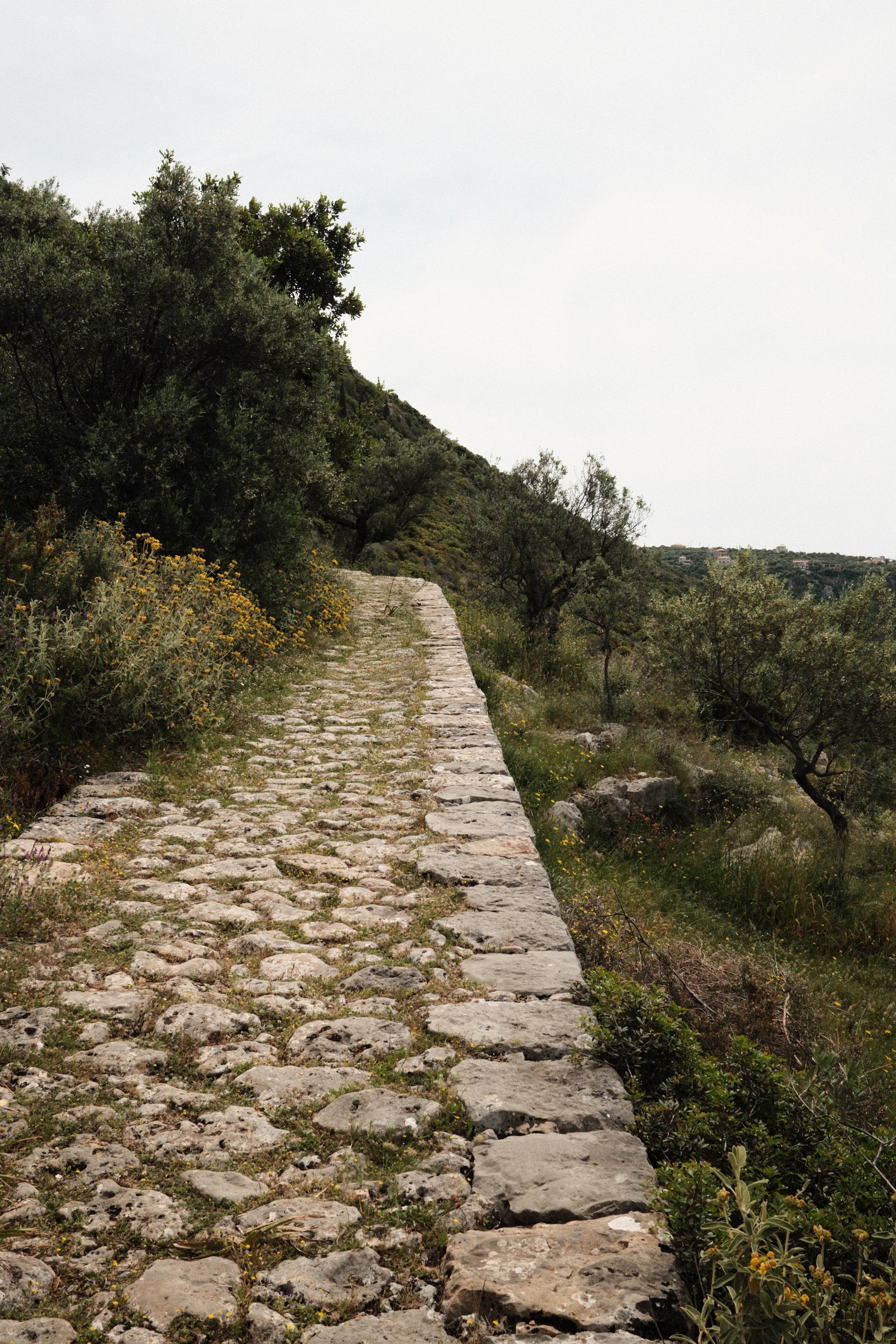 A narrow cobblestone pathway winding through green shrubbery and trees on mountainous terrain.