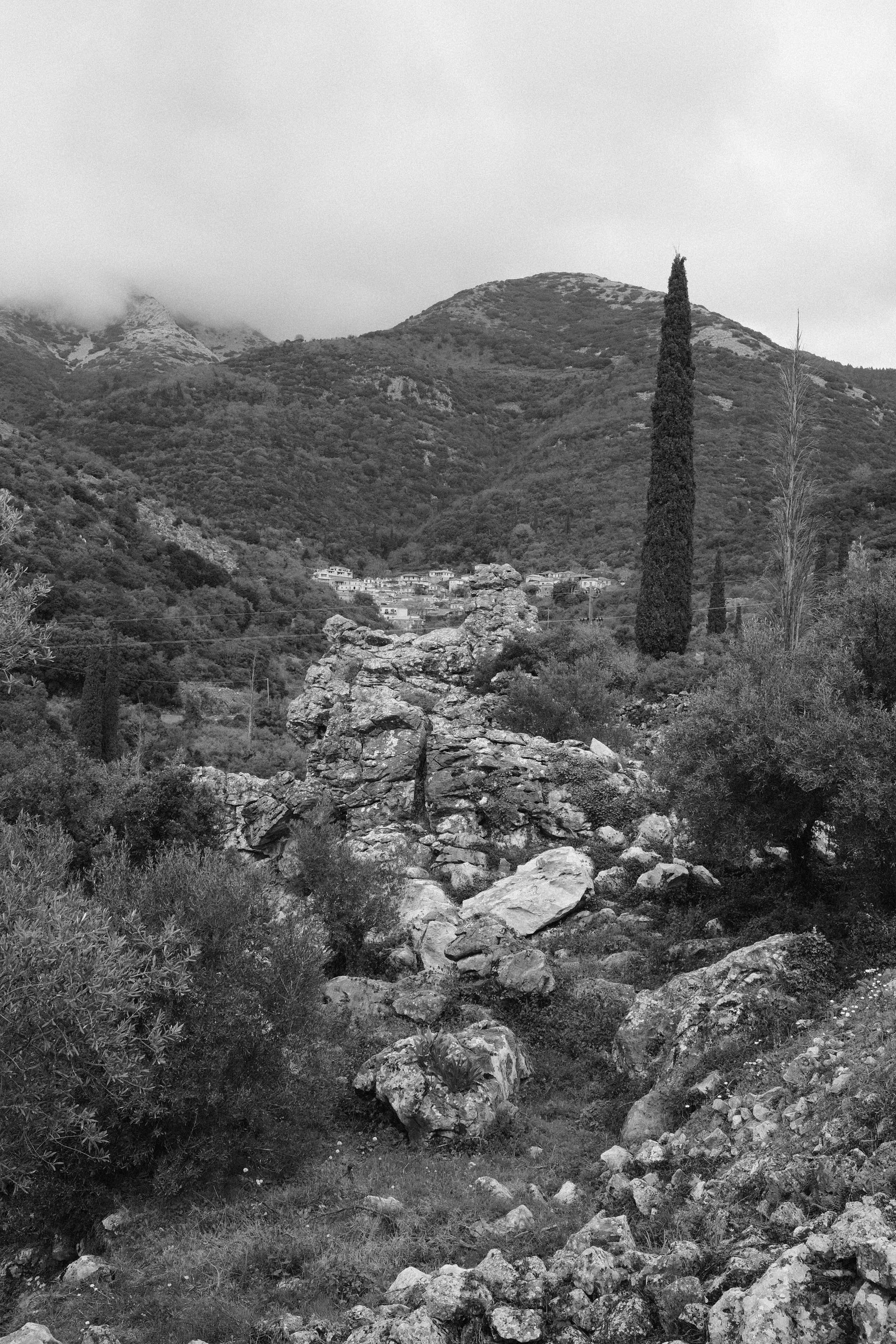Black and white landscape of rocky terrain with a tall cypress tree, hillside town, and mountains in the background.