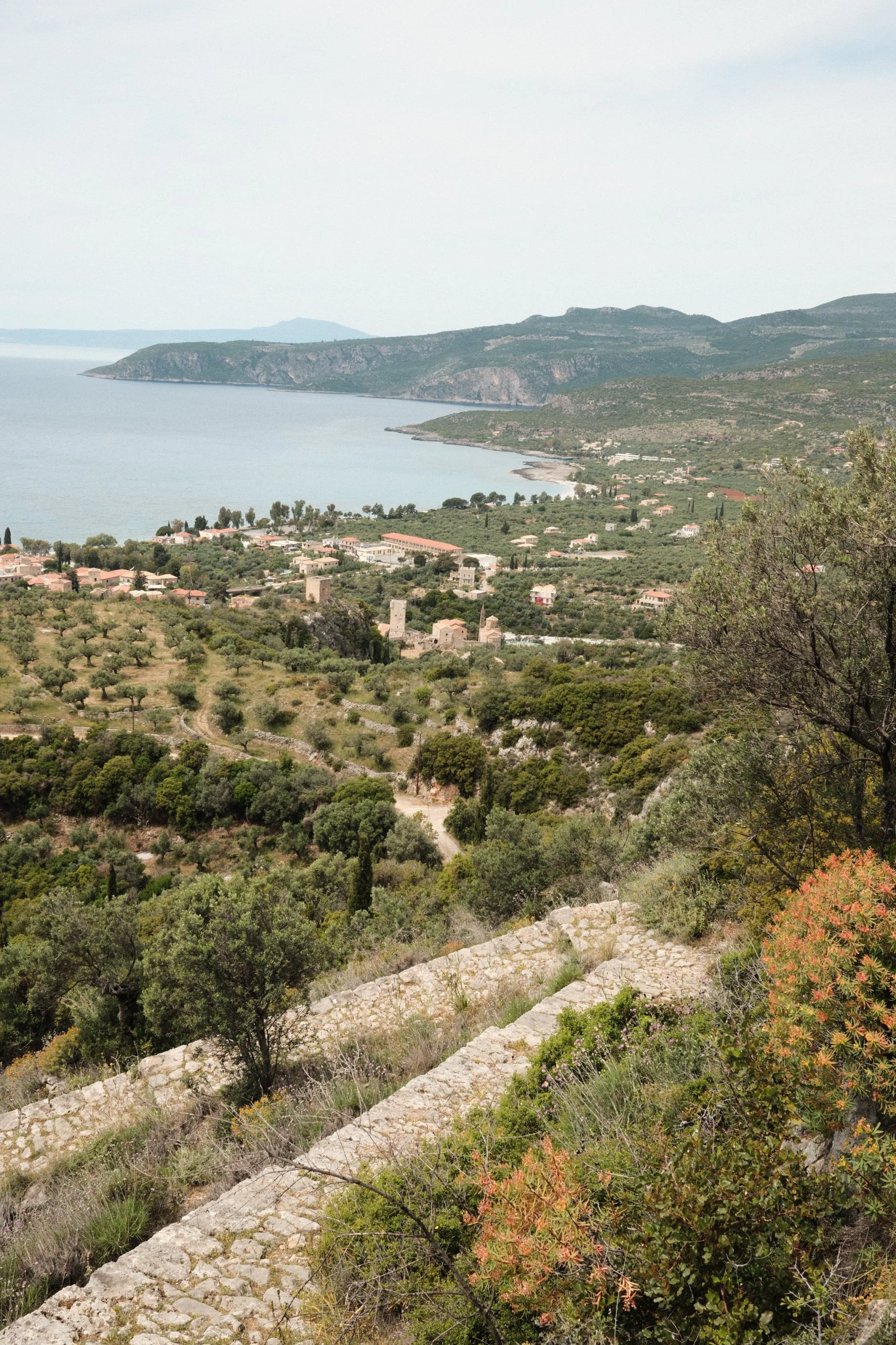 A panoramic view of a coastal landscape with mountains, water, and scattered houses surrounded by greenery and trees.