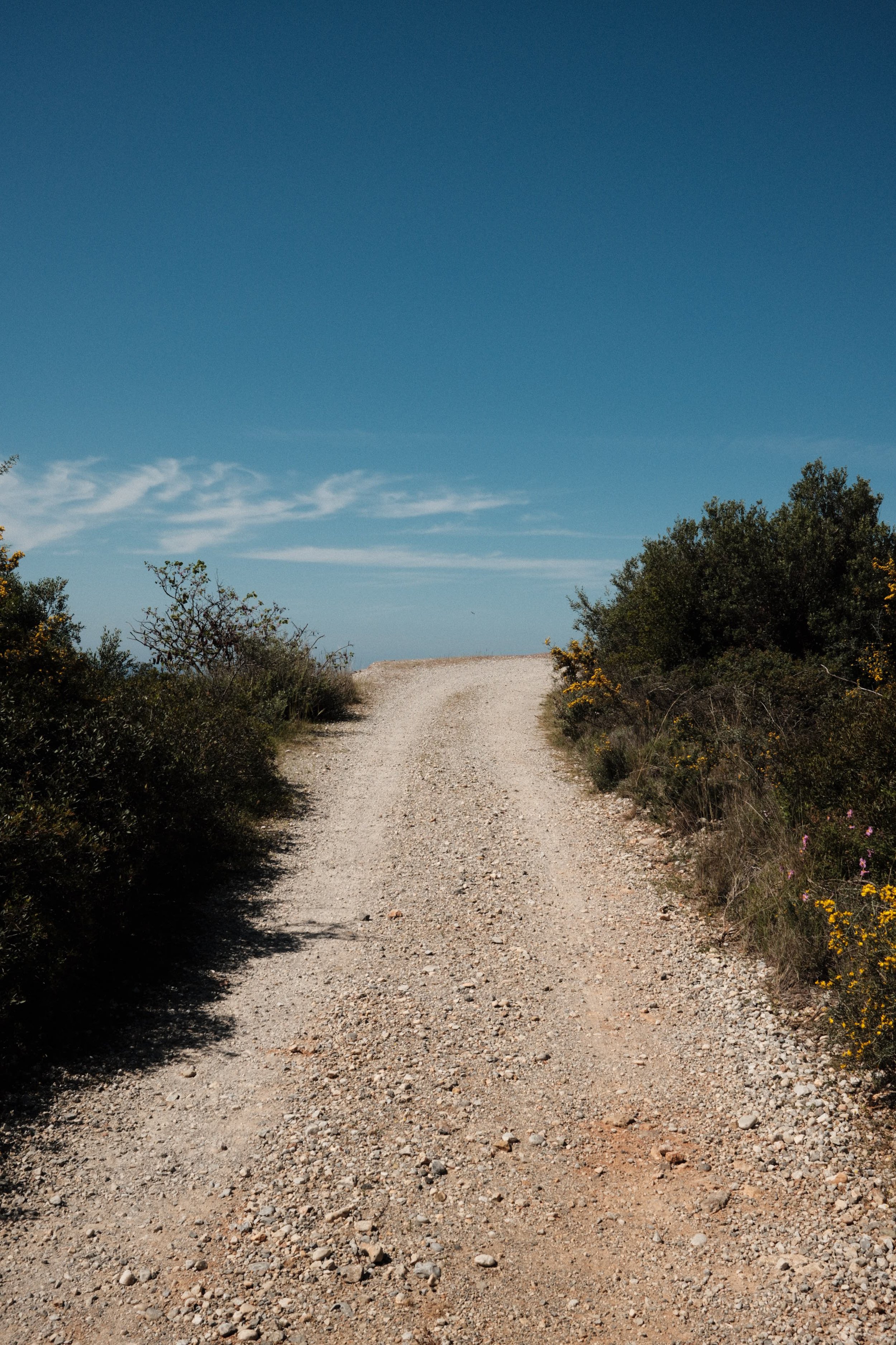 Gravel dirt road surrounded by bushes and trees under a clear blue sky.