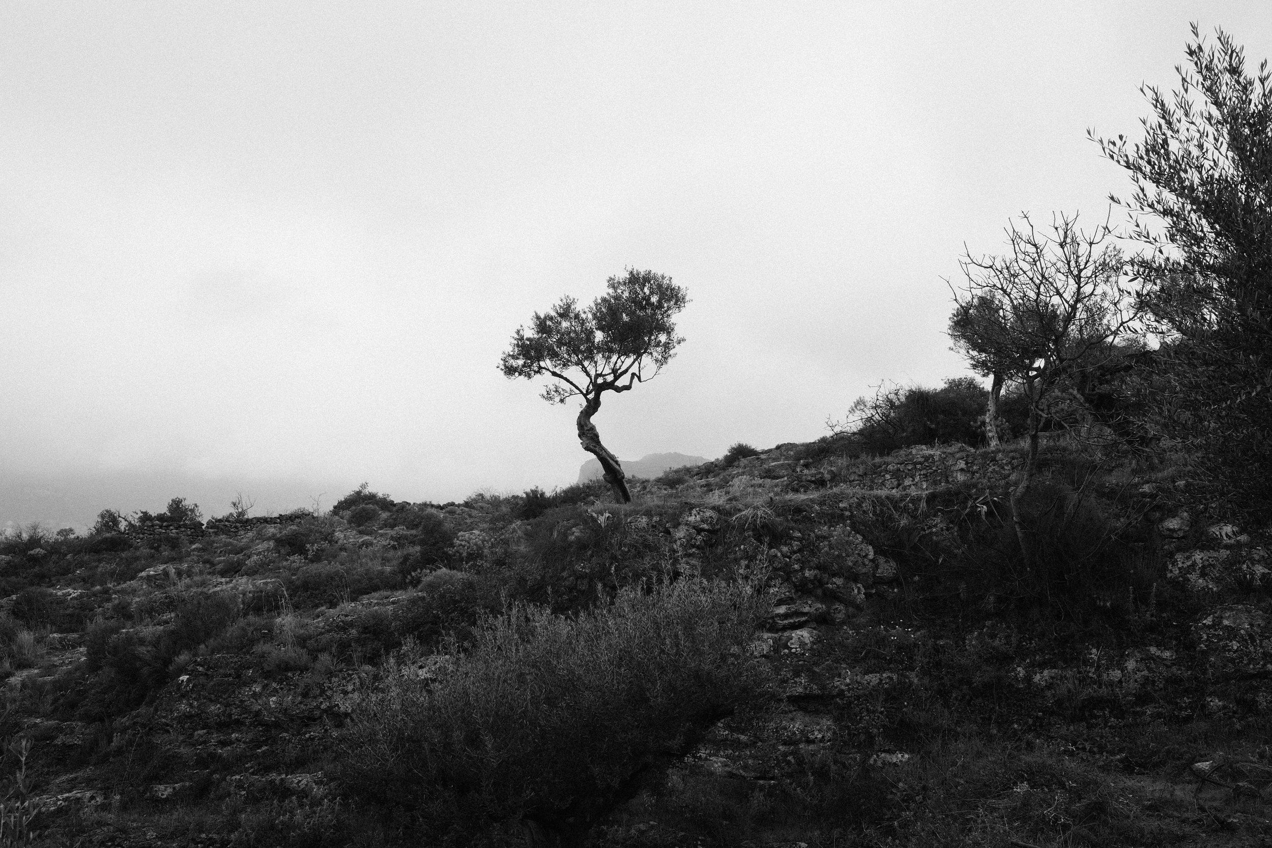 DSCF0751.jpeg