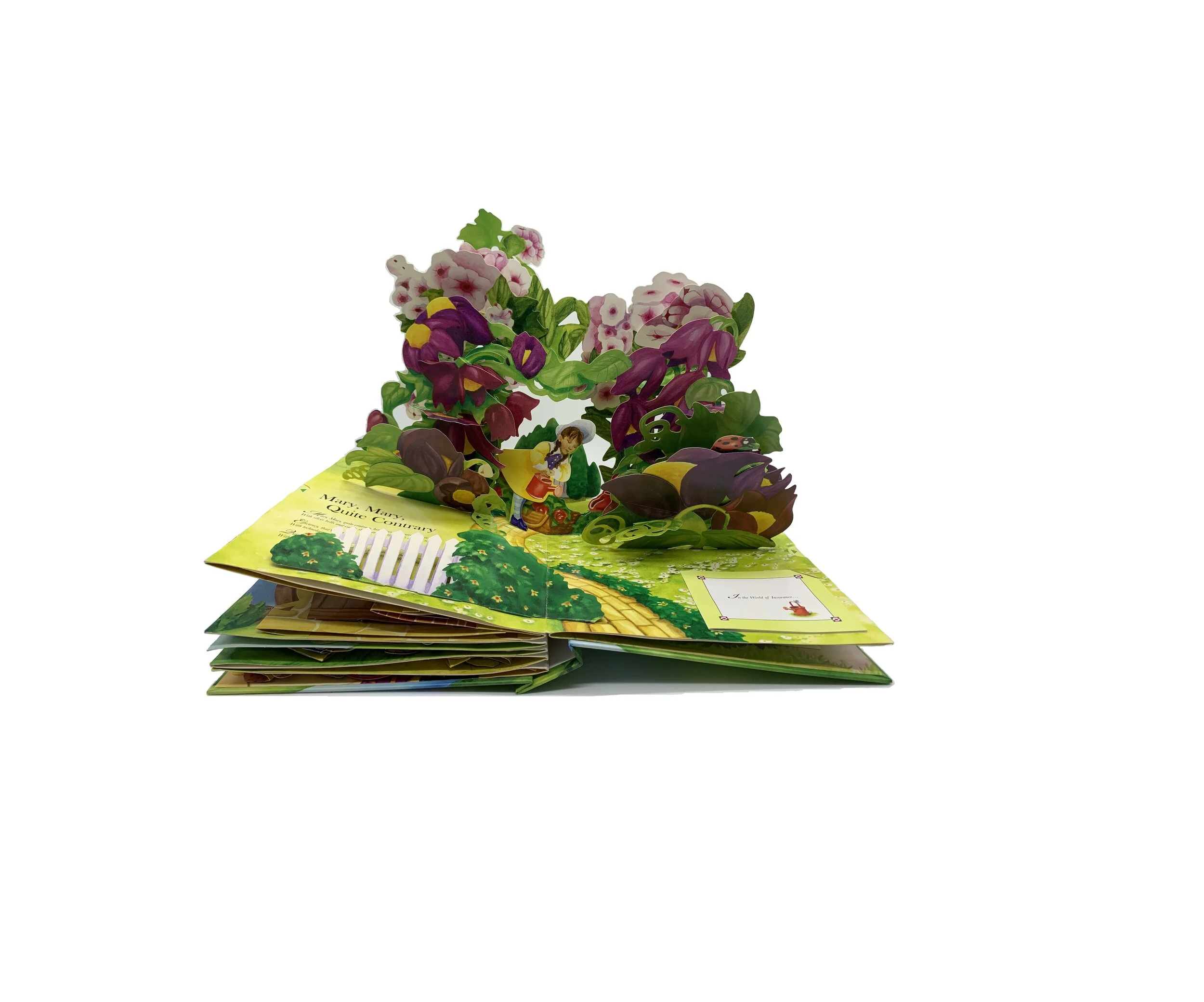 acuity piece button.jpg