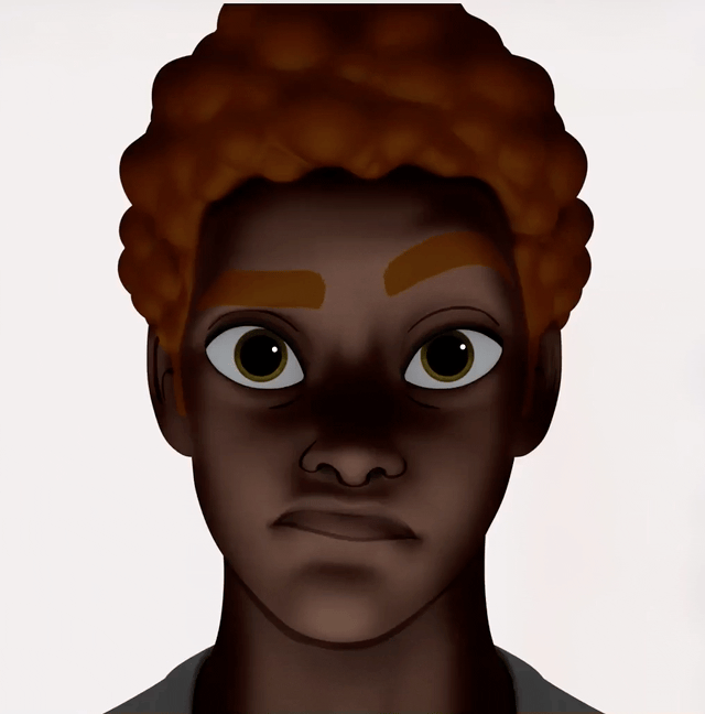 Initial Delivery | 500 Image Dataset