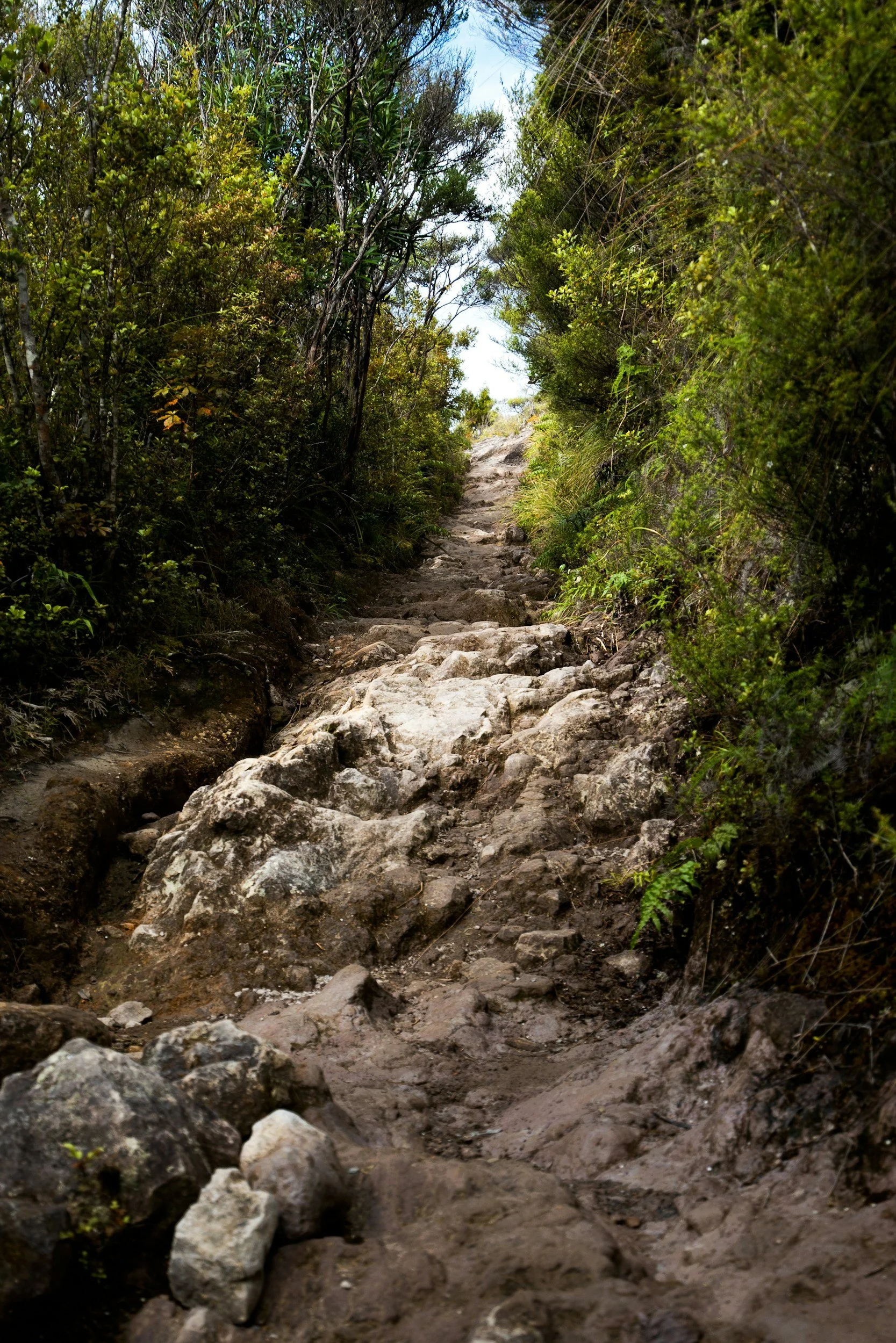 steep rock trail