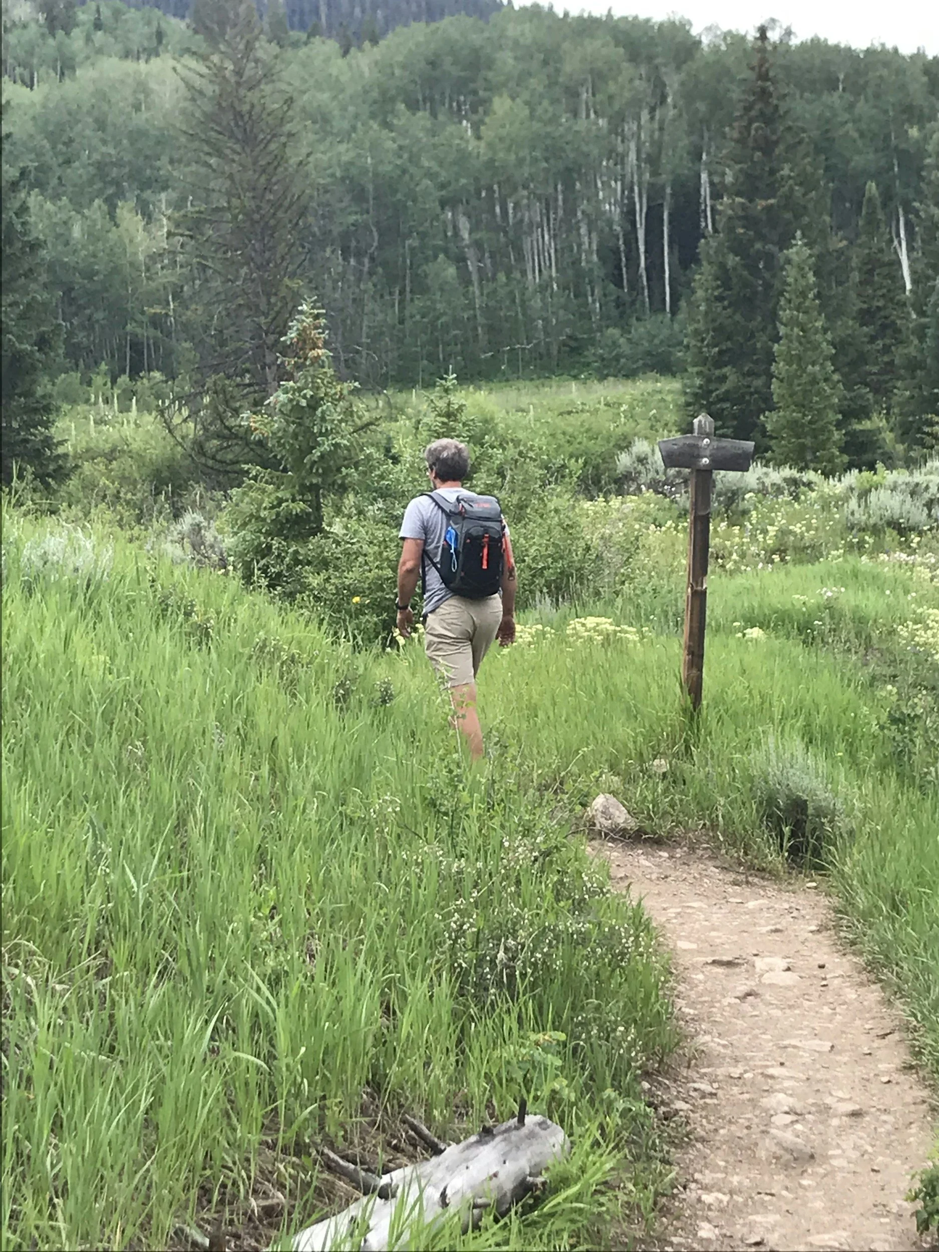 hiker on trail