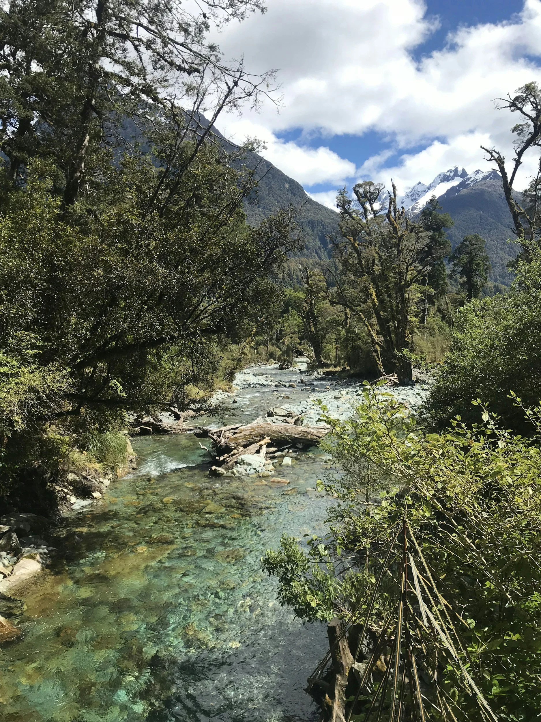 river with woods on sides