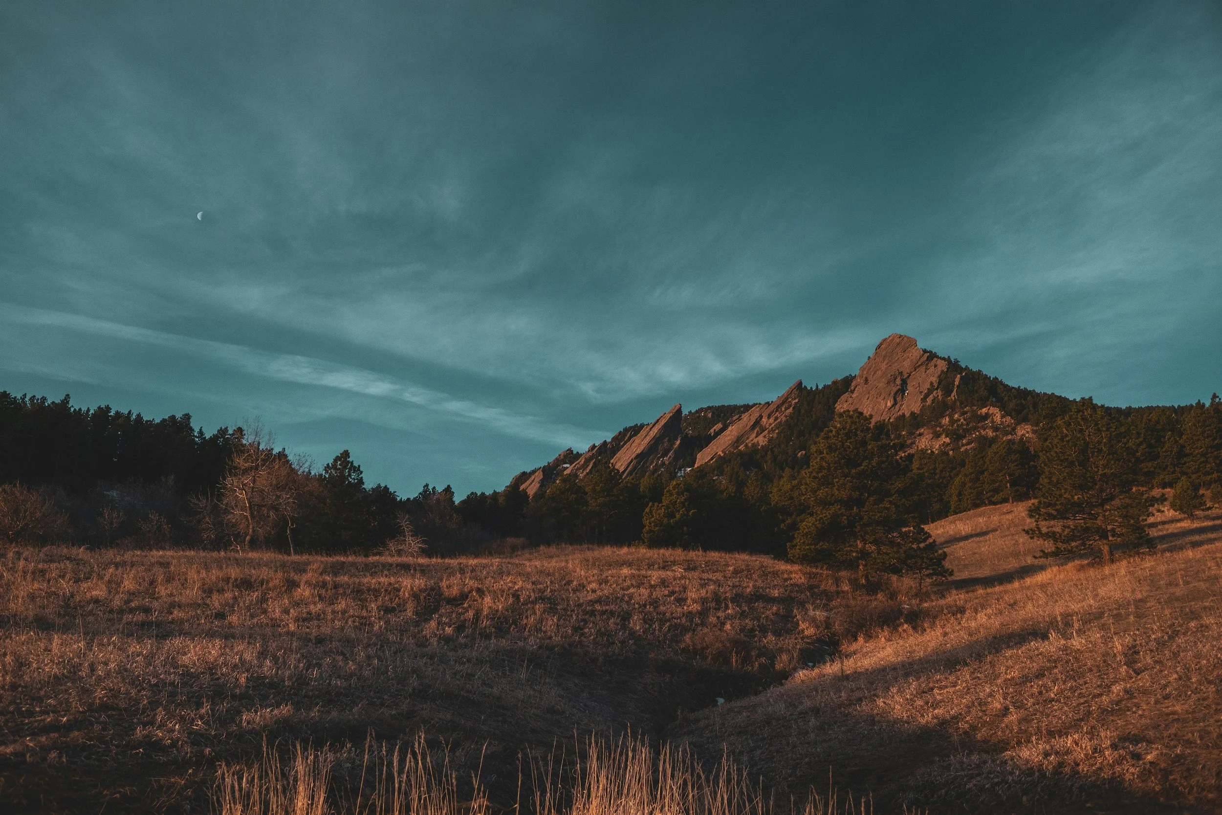 wide open mountain field