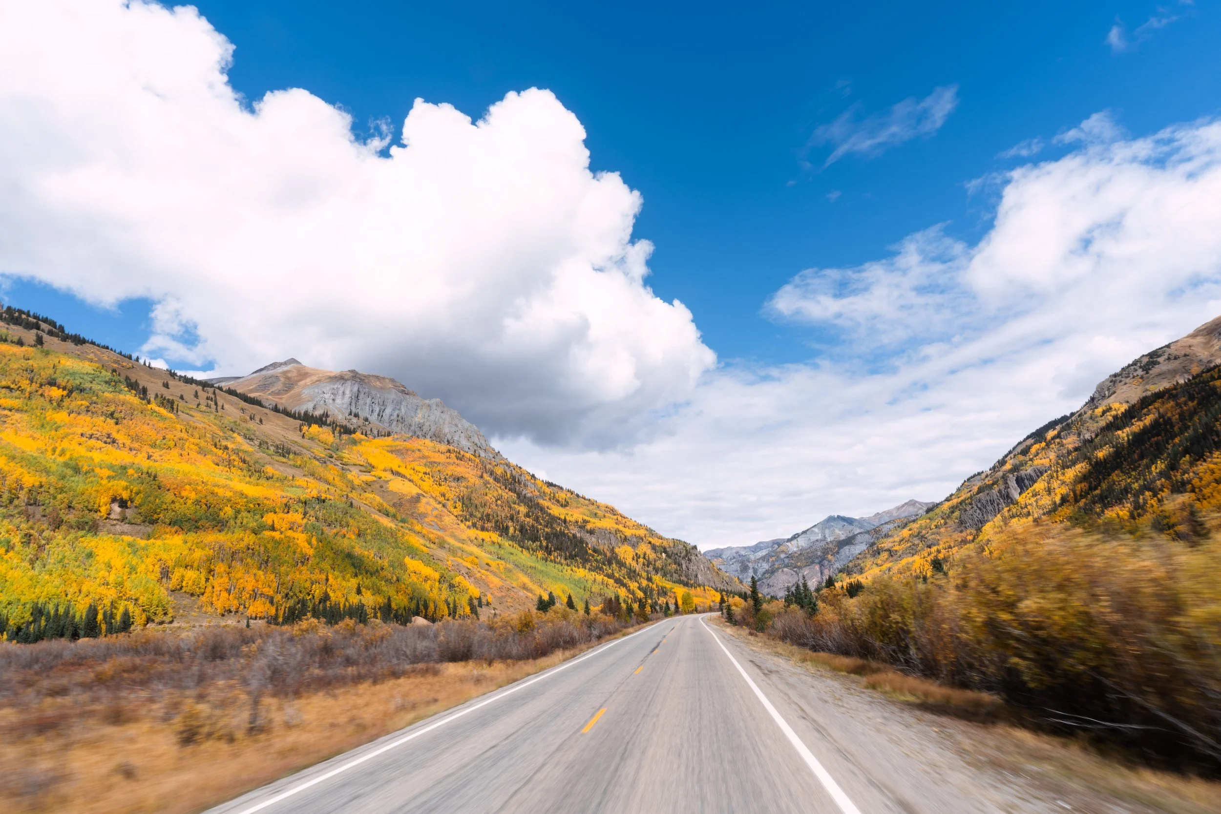 Yellow aspen trees along million dollar highway