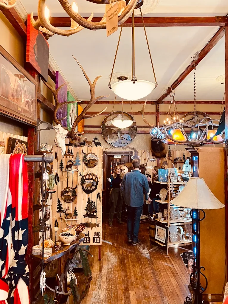 Inside the Shaggy Coo