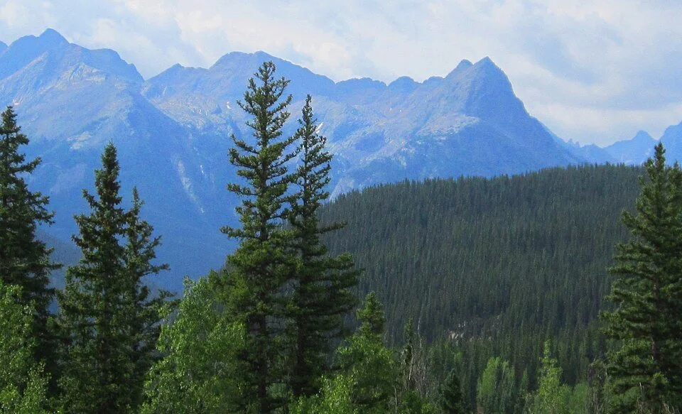 Panoramic view of the Needle Mountains in the San Juan Mountains of Colorado showing alpine ridges and high peaks