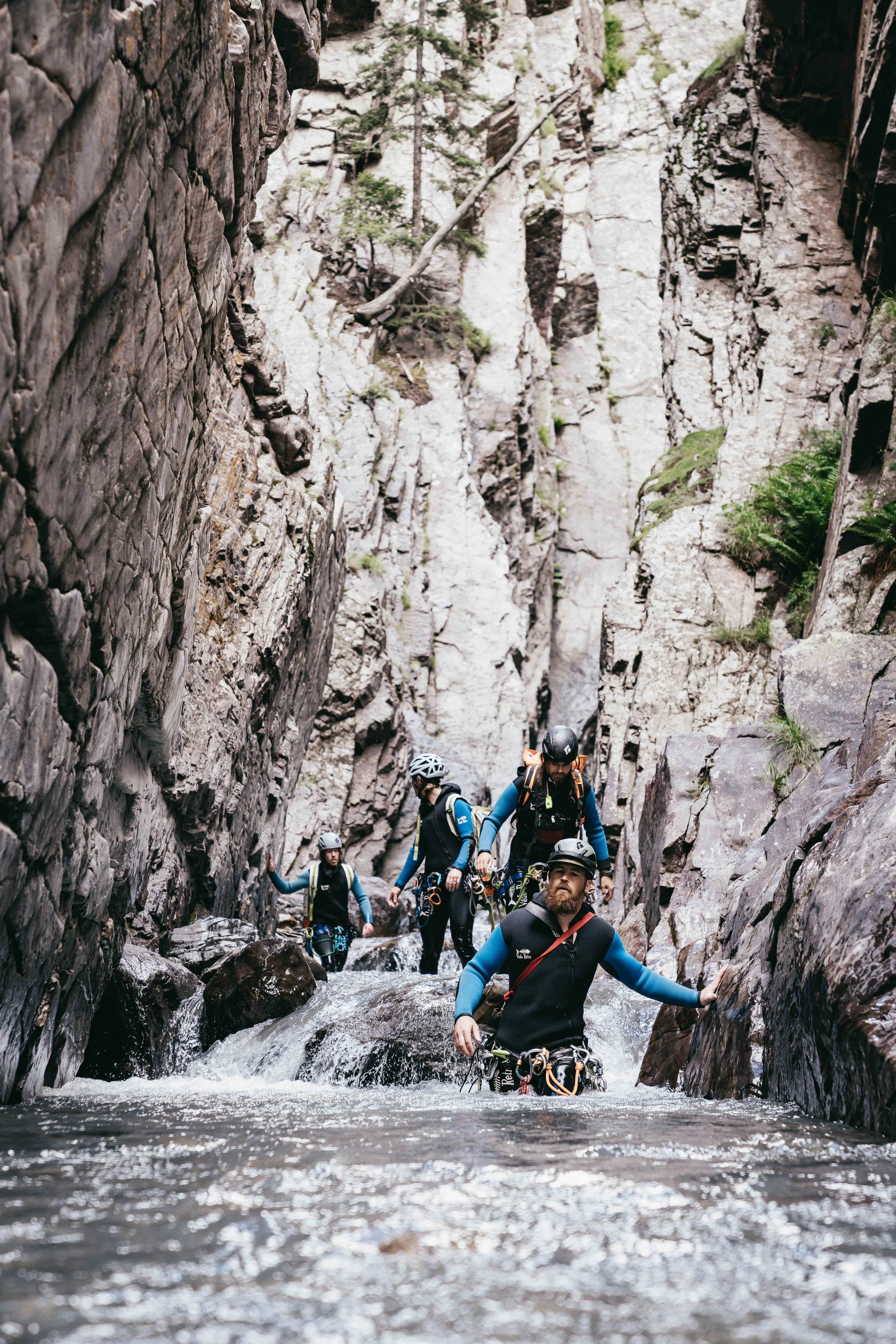 Four people wading through water in Ouray canyon