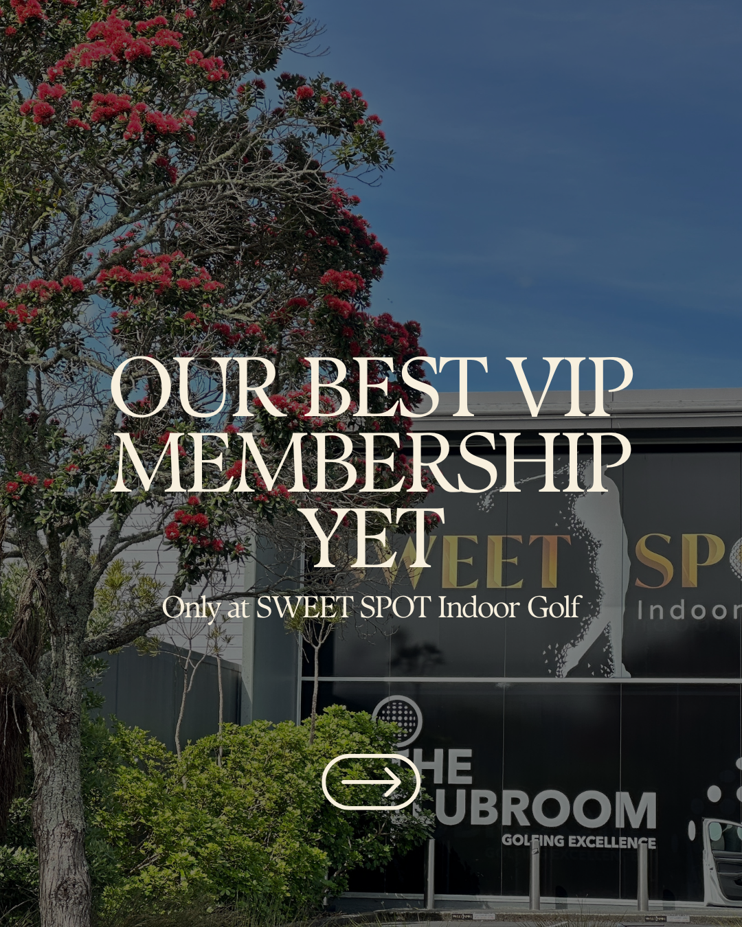 🔥 OUR BEST VIP MEMBERSHIP YET 🔥.png
