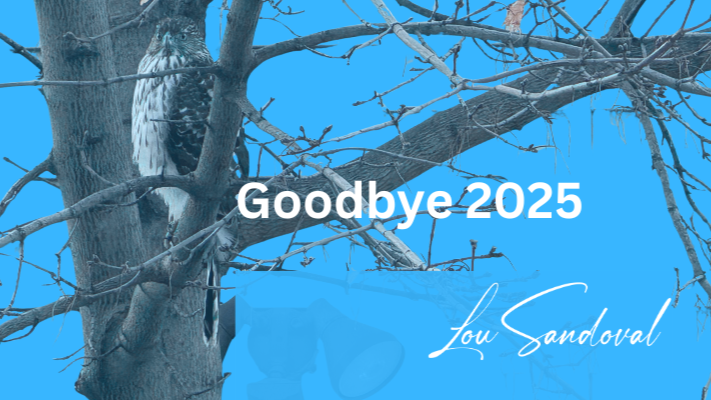 What the Year of the Snake Taught Me About Leadership, Letting Go, and Moving Forward