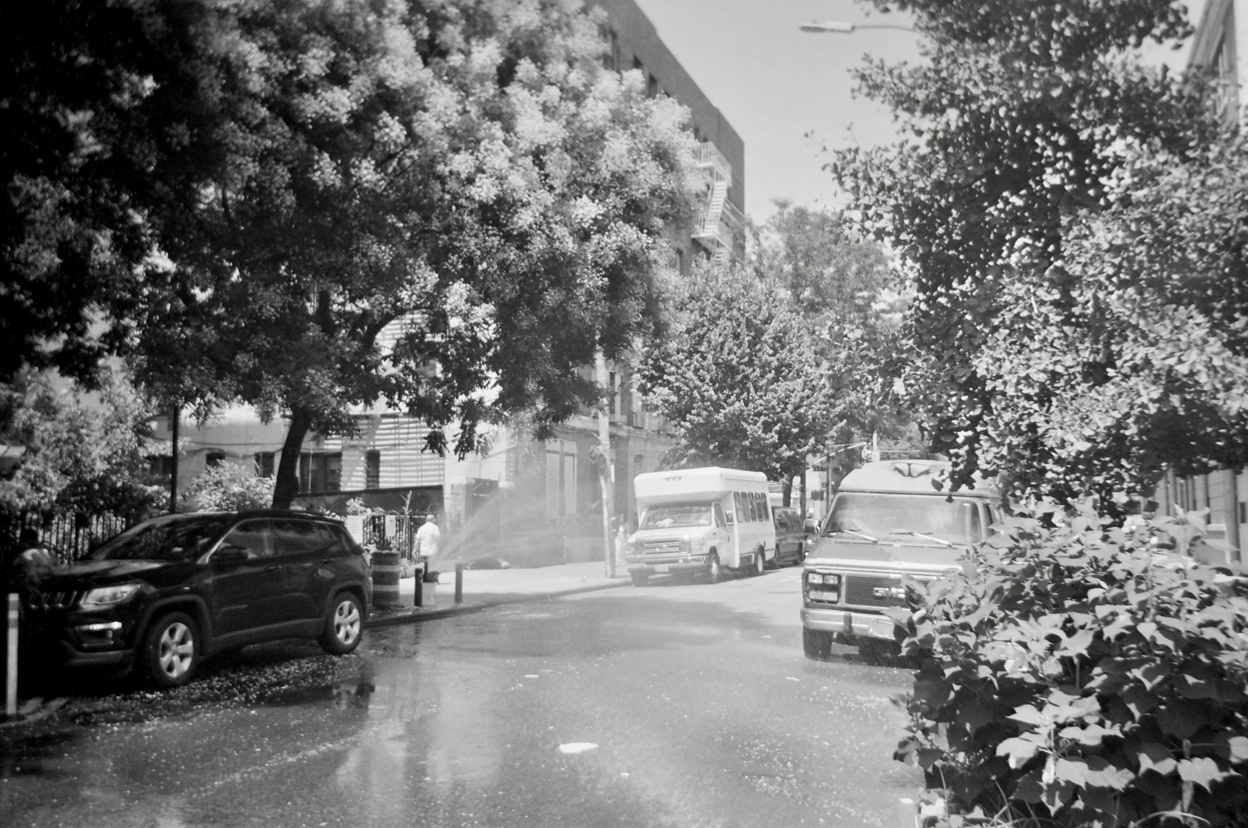 ilford_xp2_super_07_21_2023_000129170017.jpg