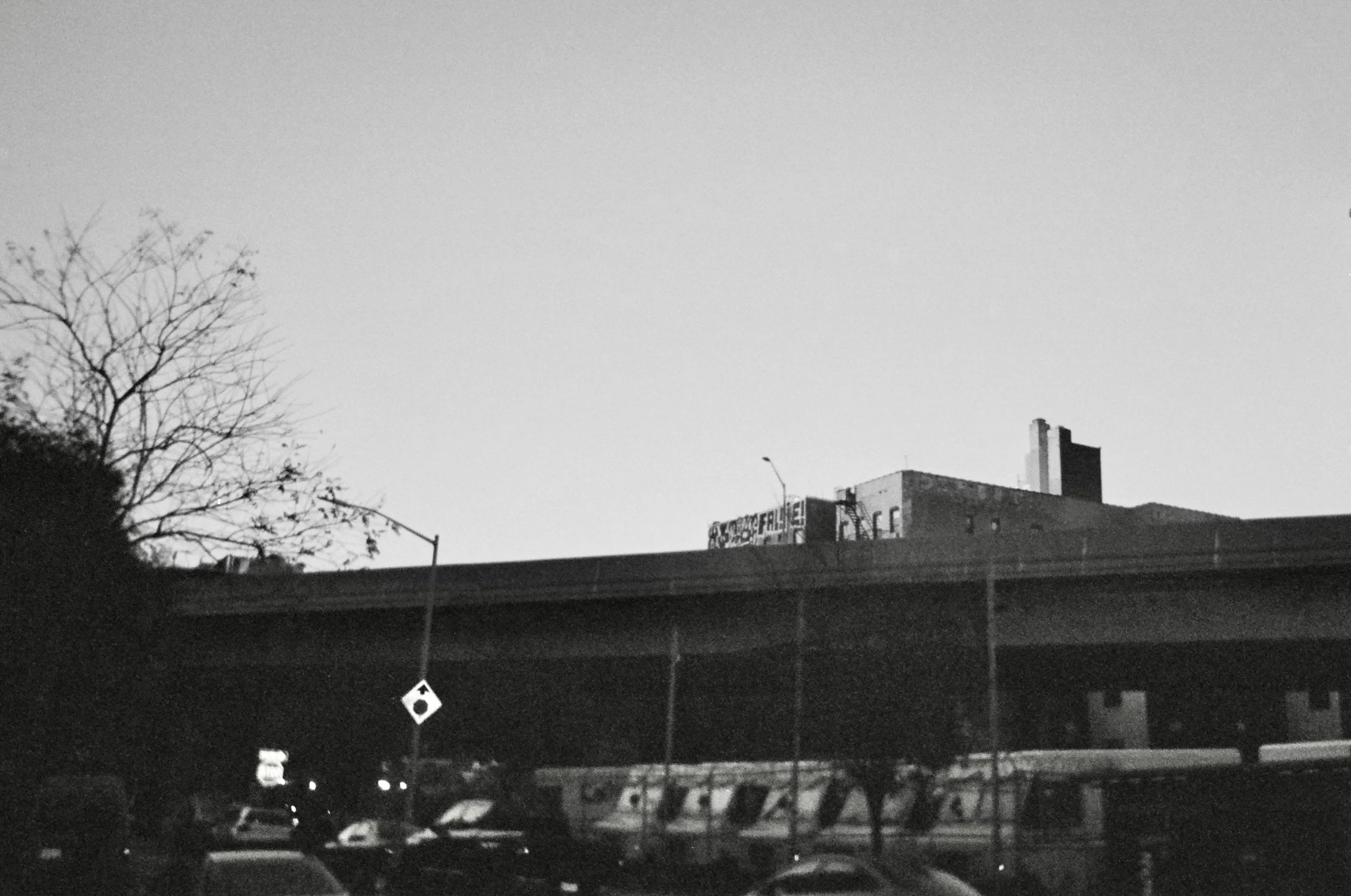 ilford_xp2_super_07_21_2023_000166020006.jpg