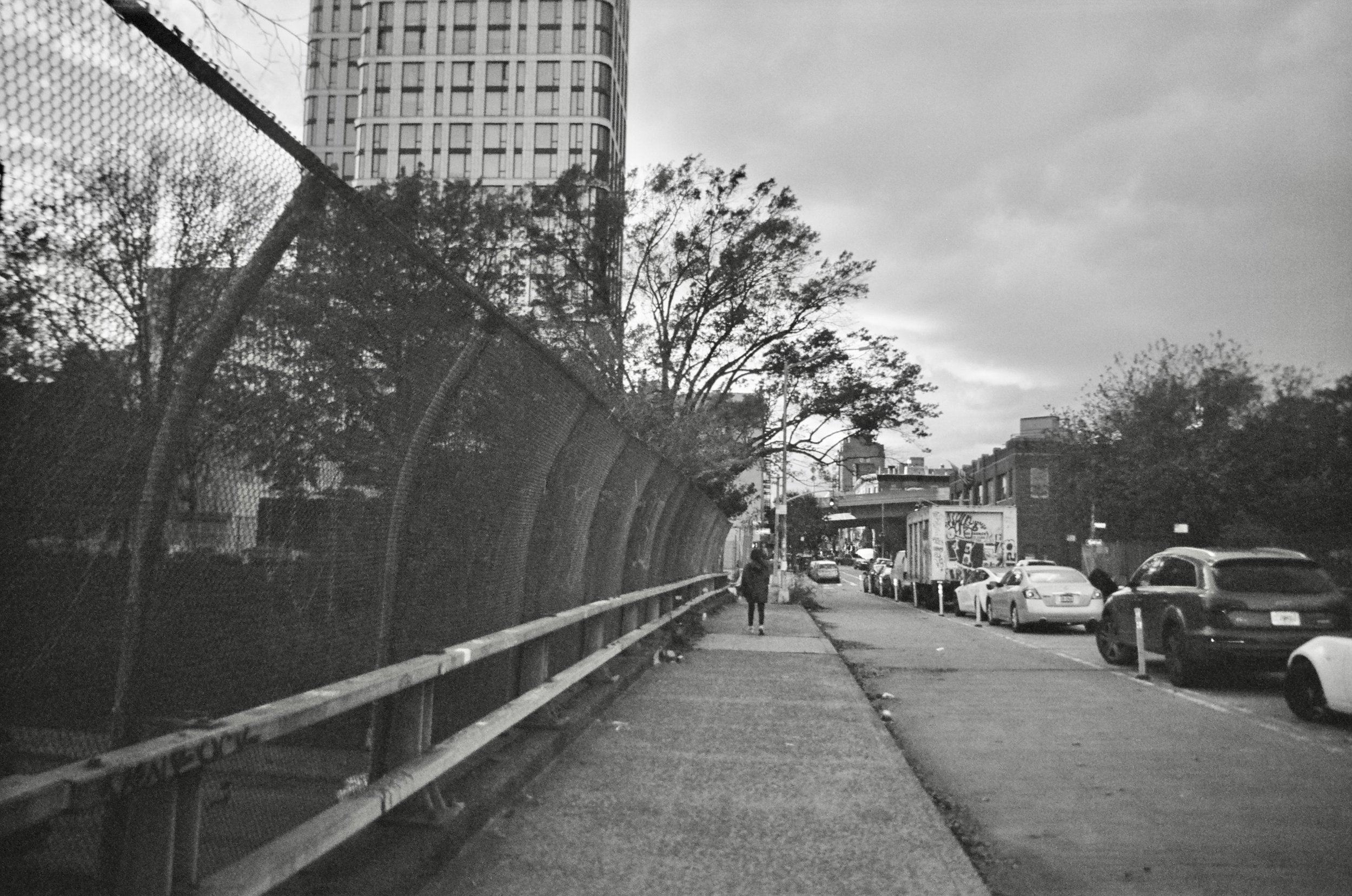 ilford_xp2_super_07_21_2023_000166020023.jpg