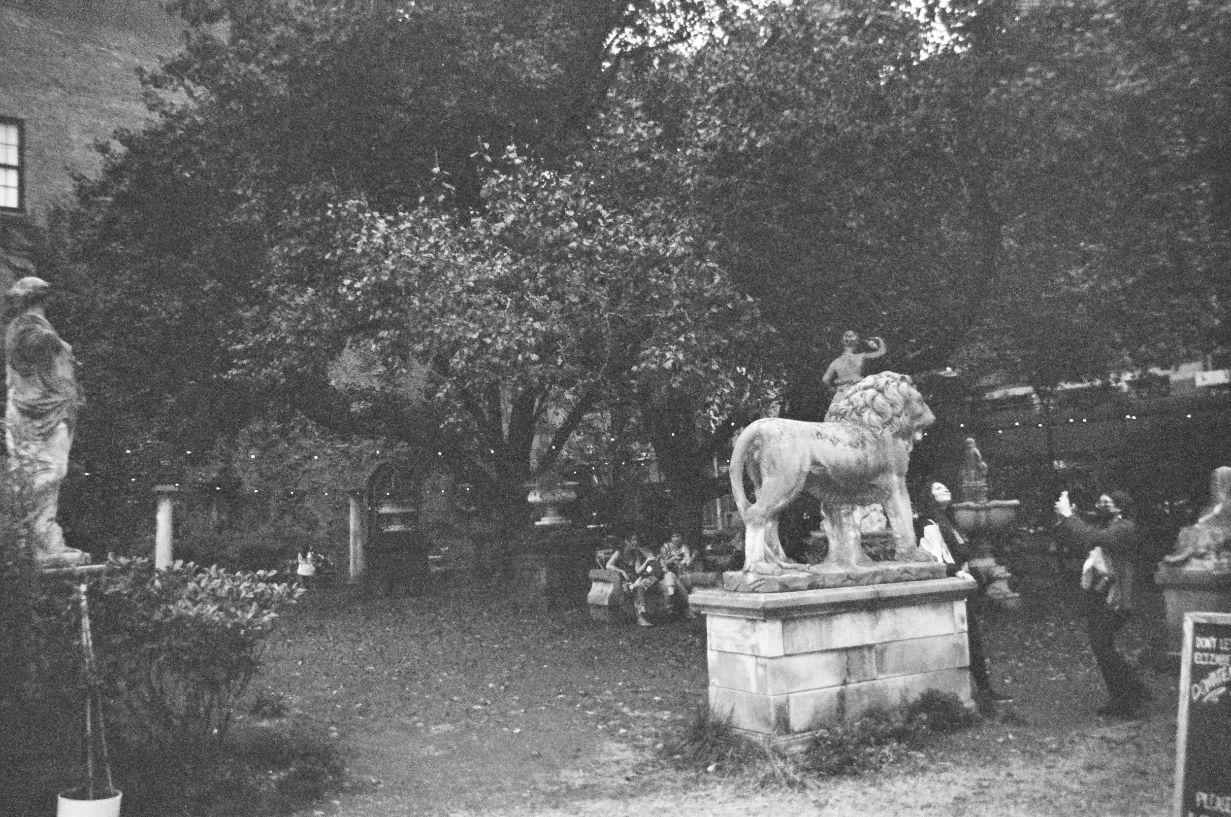 ilford_xp2_super_07_21_2023_000166020025.jpg