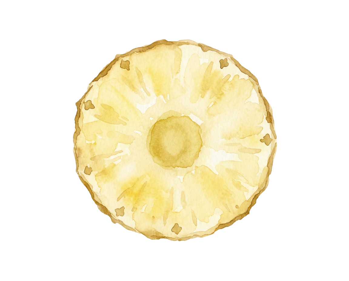 a sliced round cross section of a pineapple