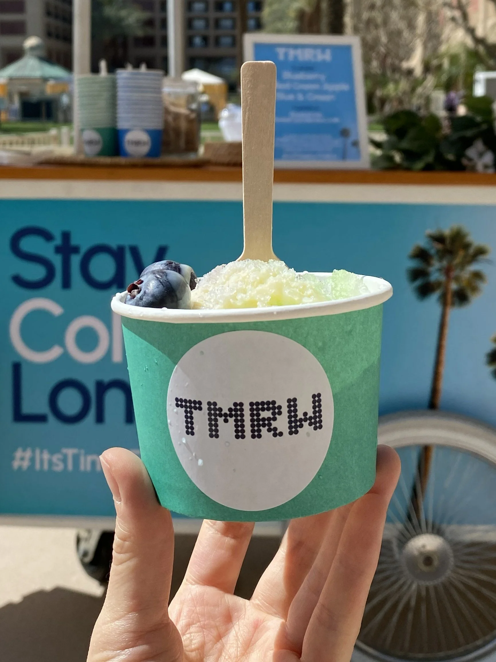 A custom label bowl of shaved ice with a snow cap and blueberries